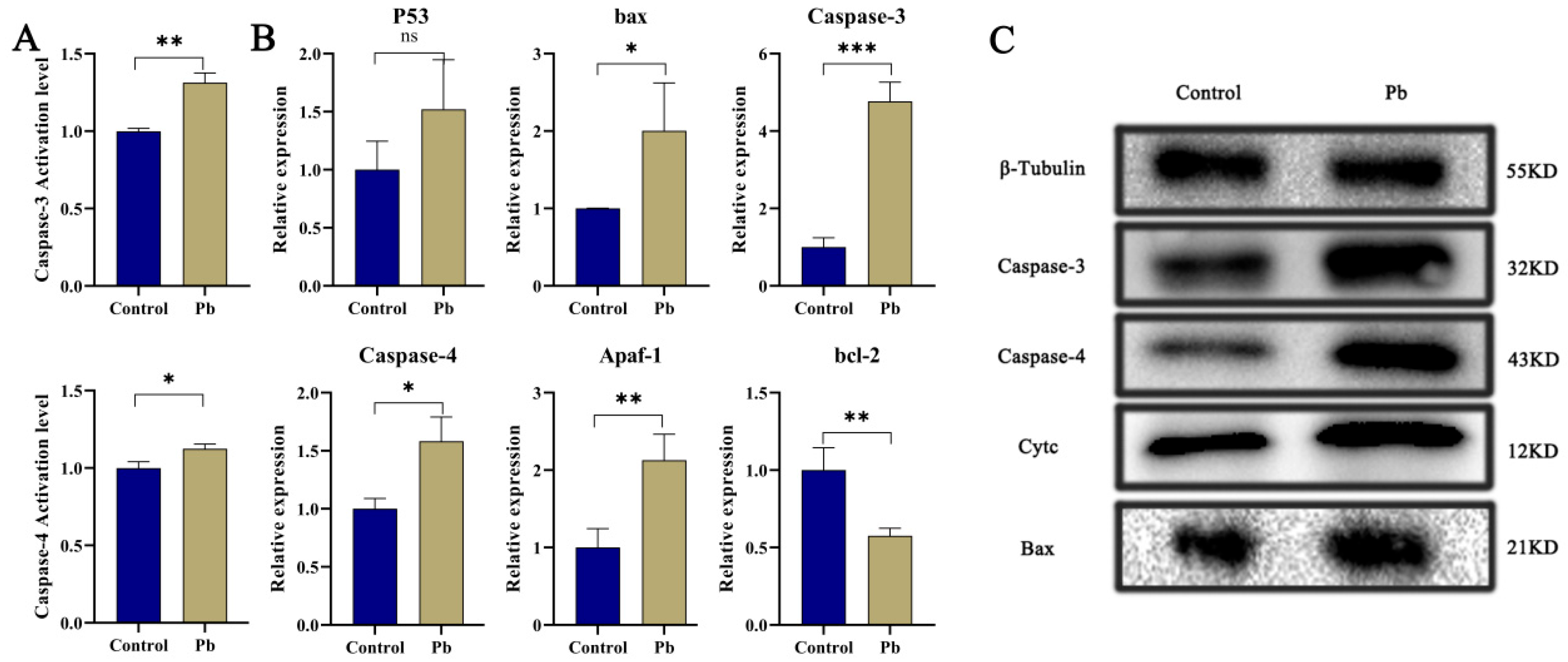 Insects 16 00699 g002
