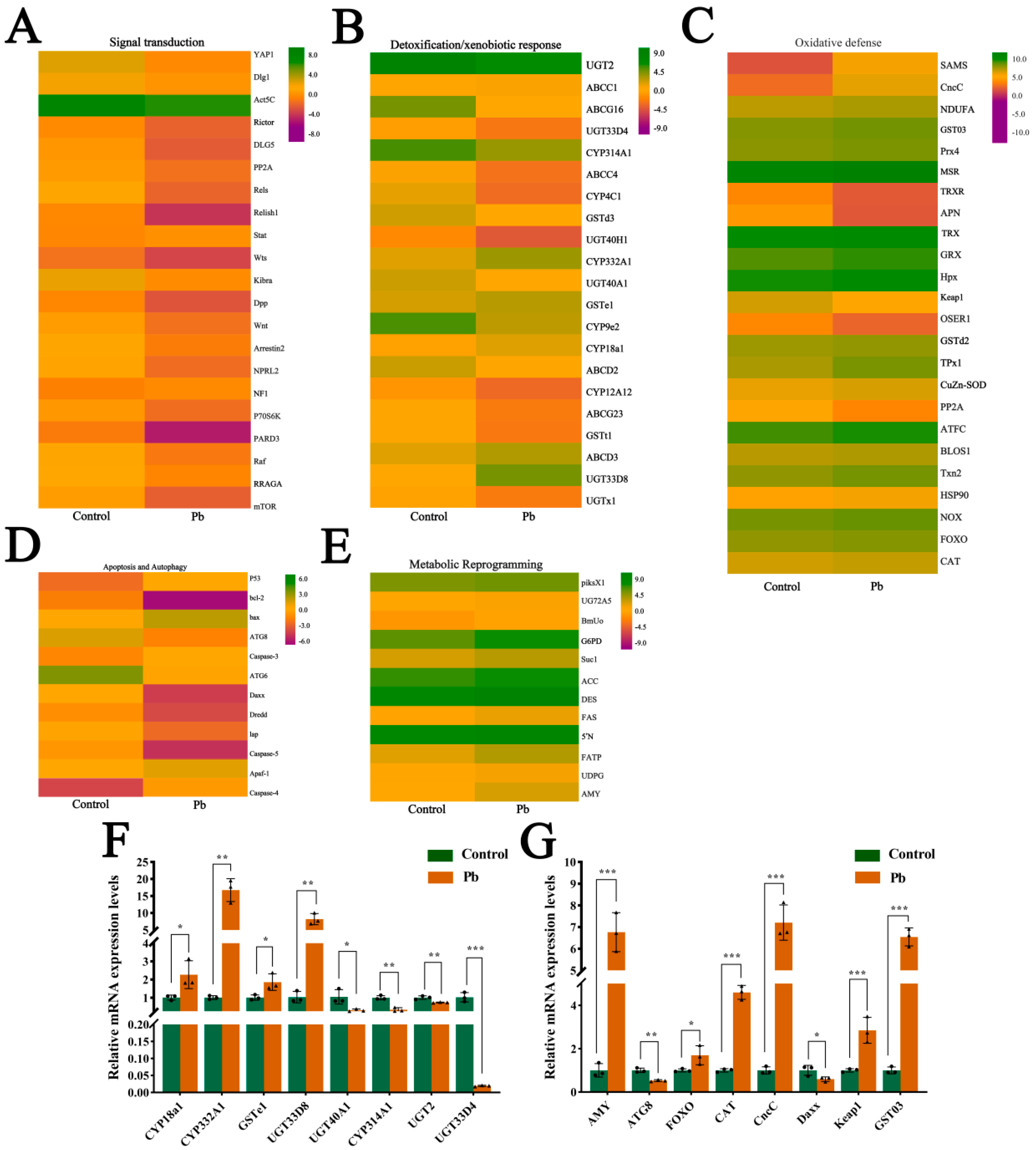 Insects 16 00699 g006