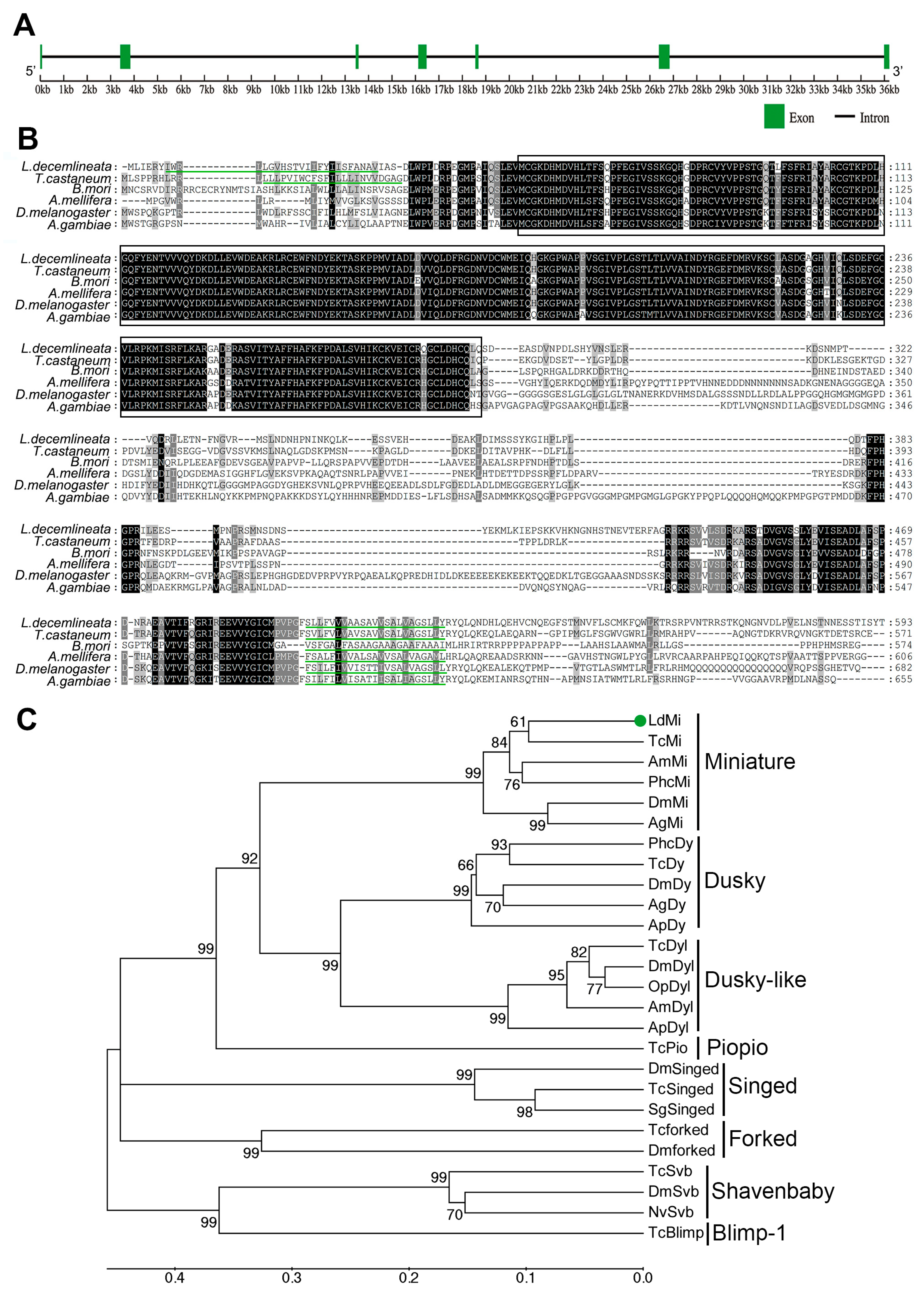 Insects 16 00700 g001