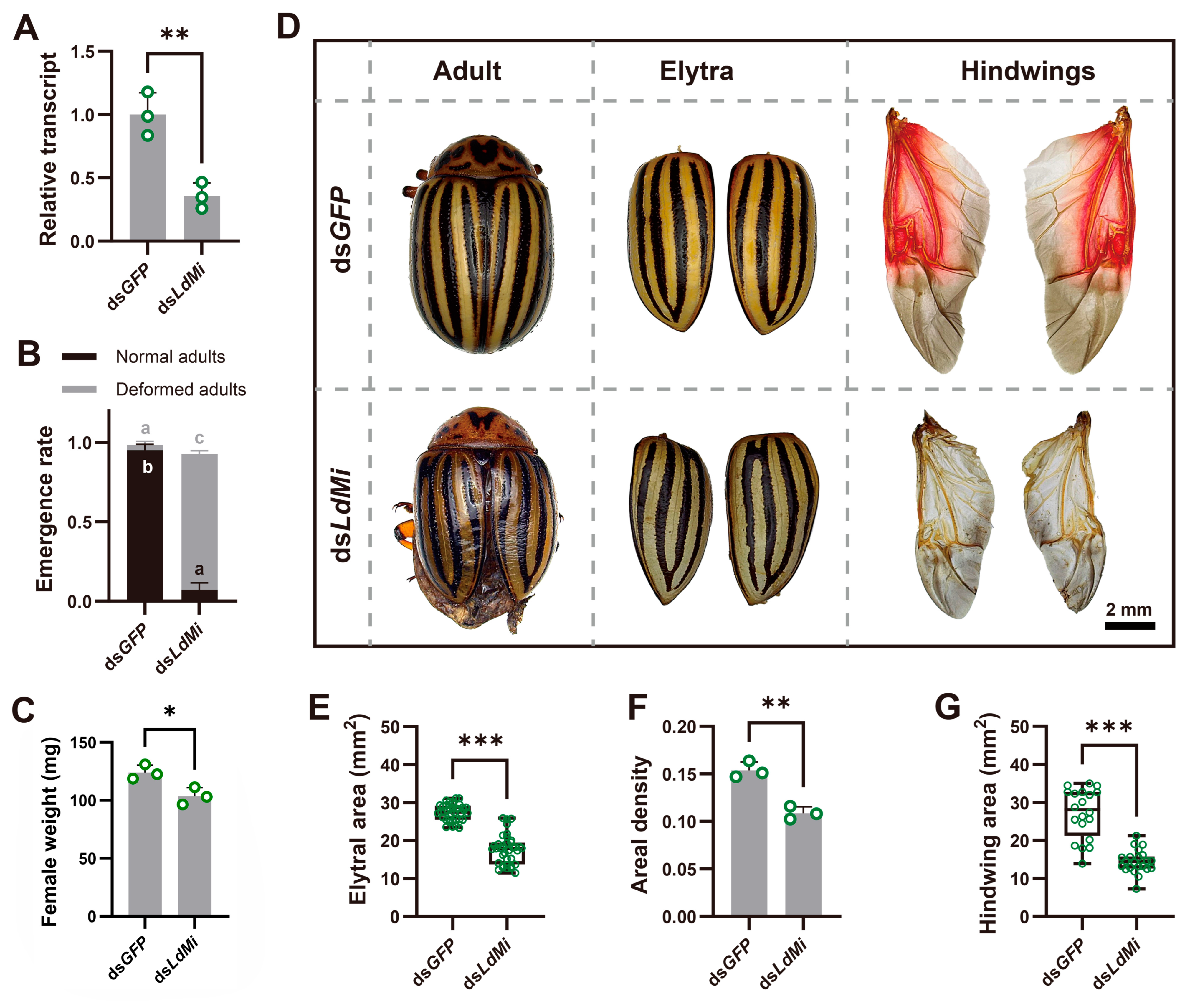 Insects 16 00700 g003