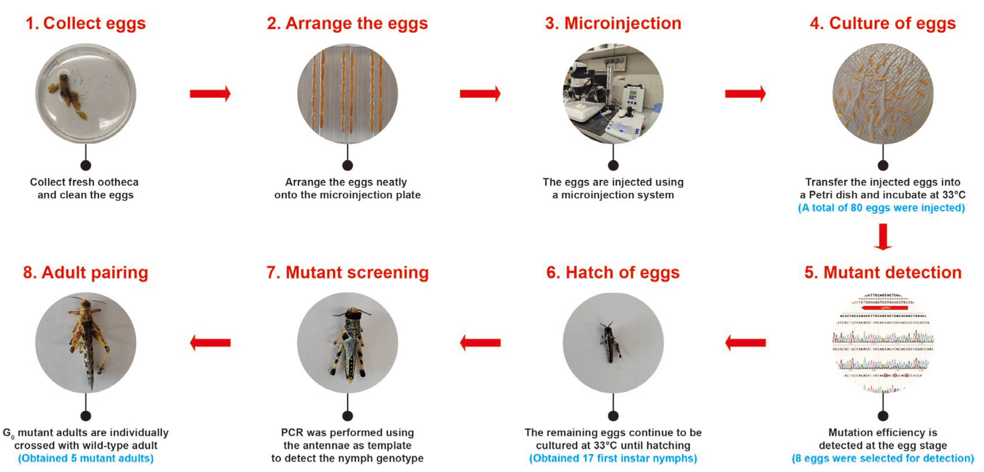 Insects 16 00704 g002
