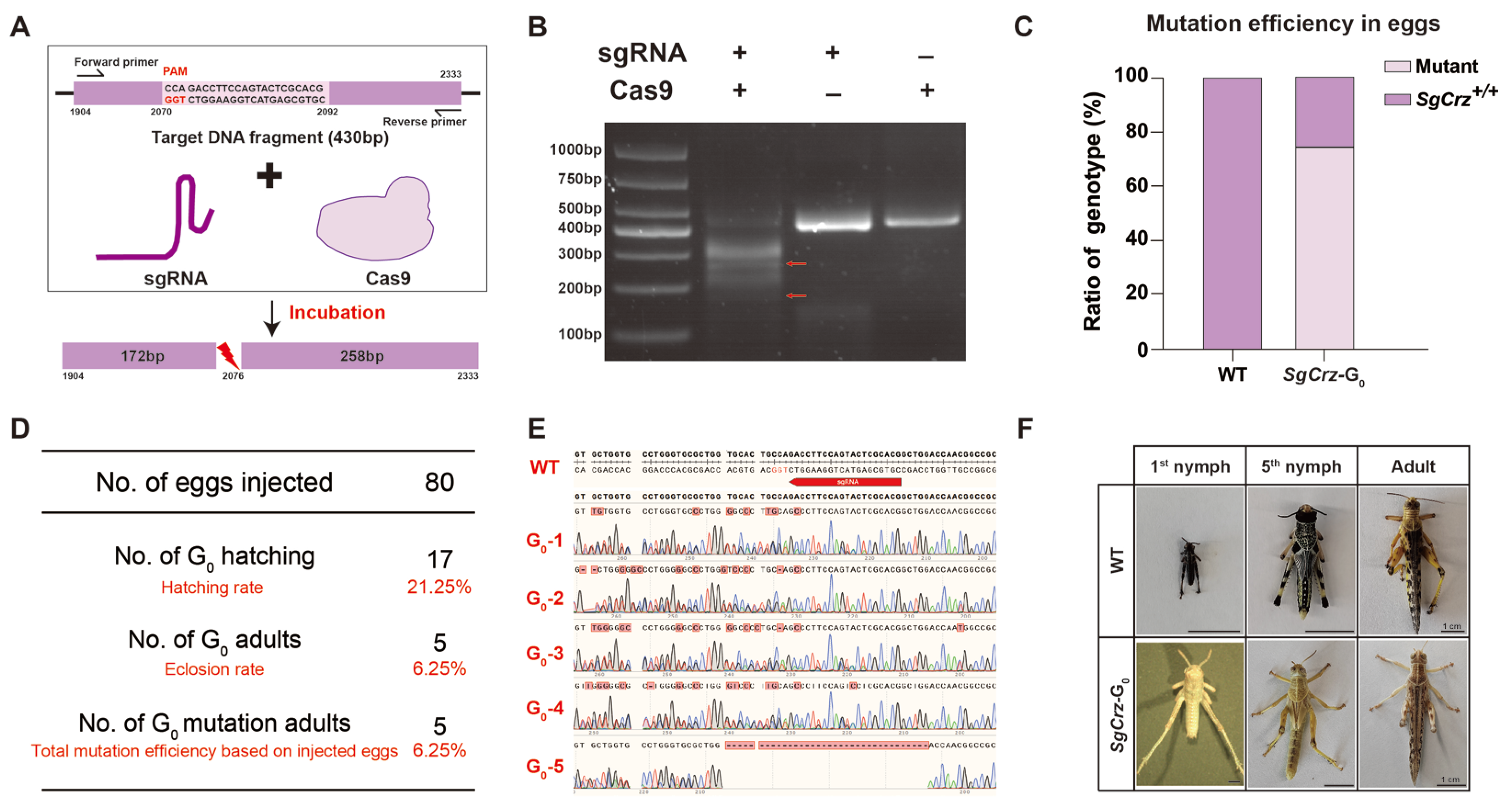 Insects 16 00704 g003