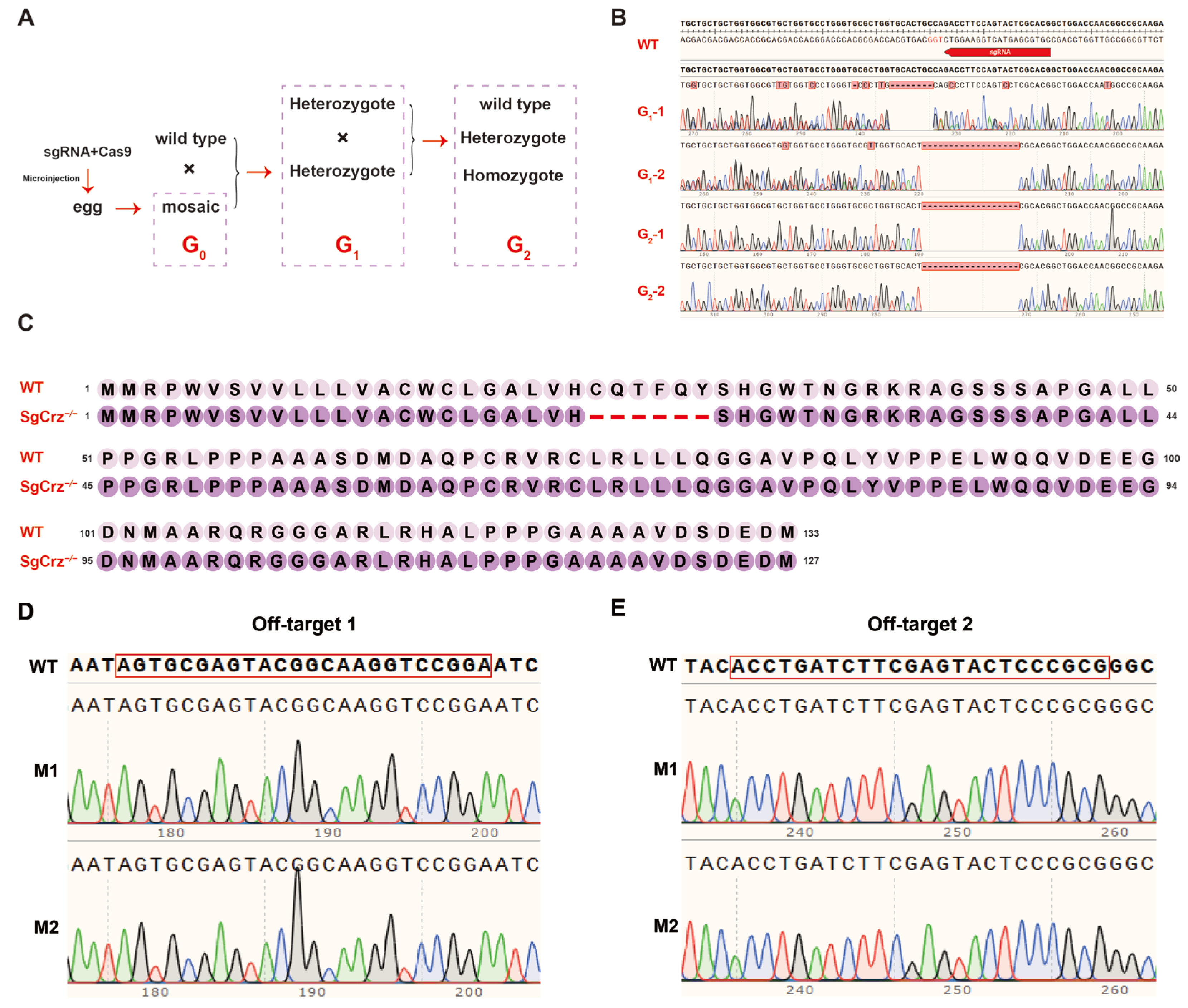 Insects 16 00704 g004
