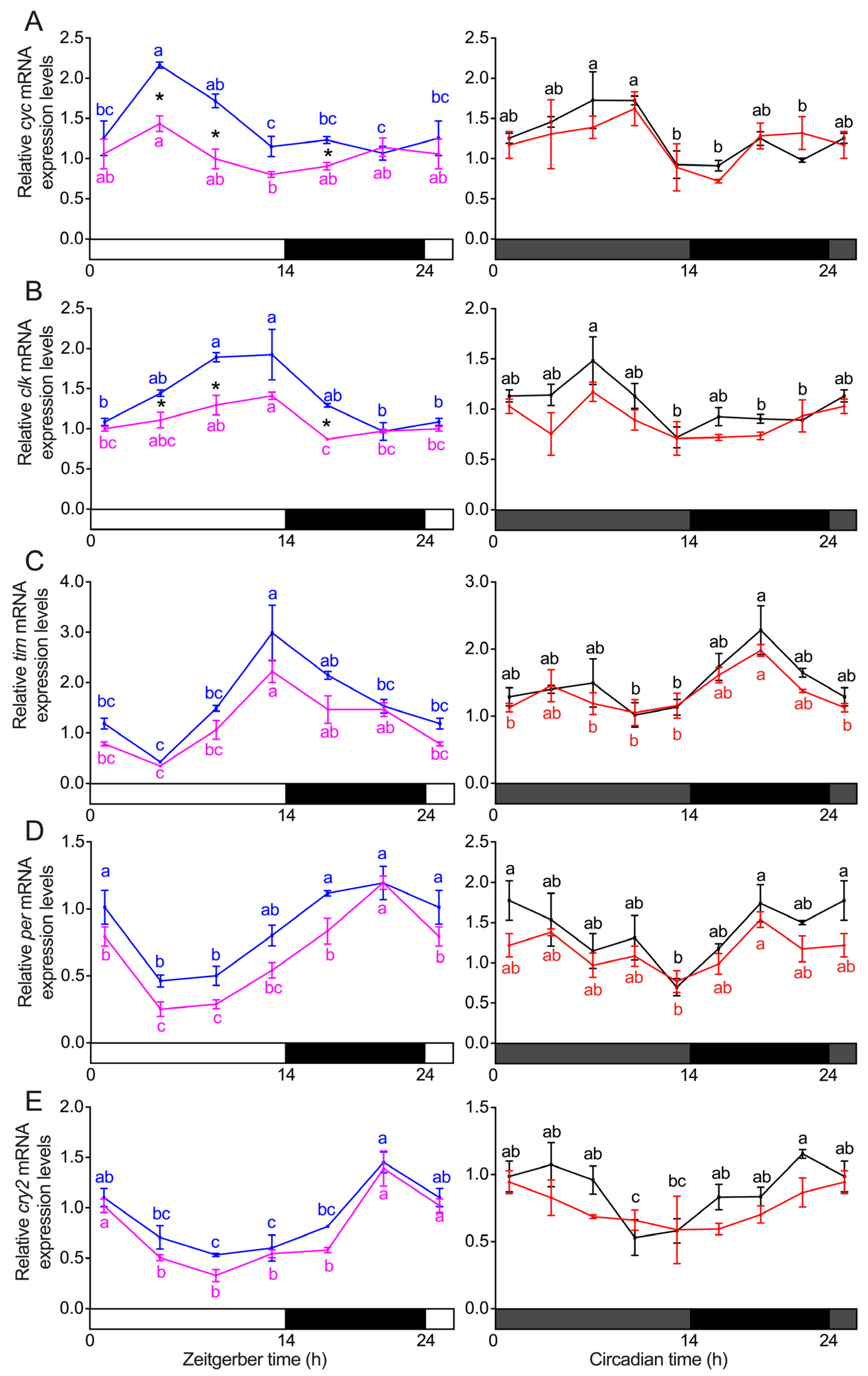 Insects 16 00705 g004 Insects 16 00705 g004