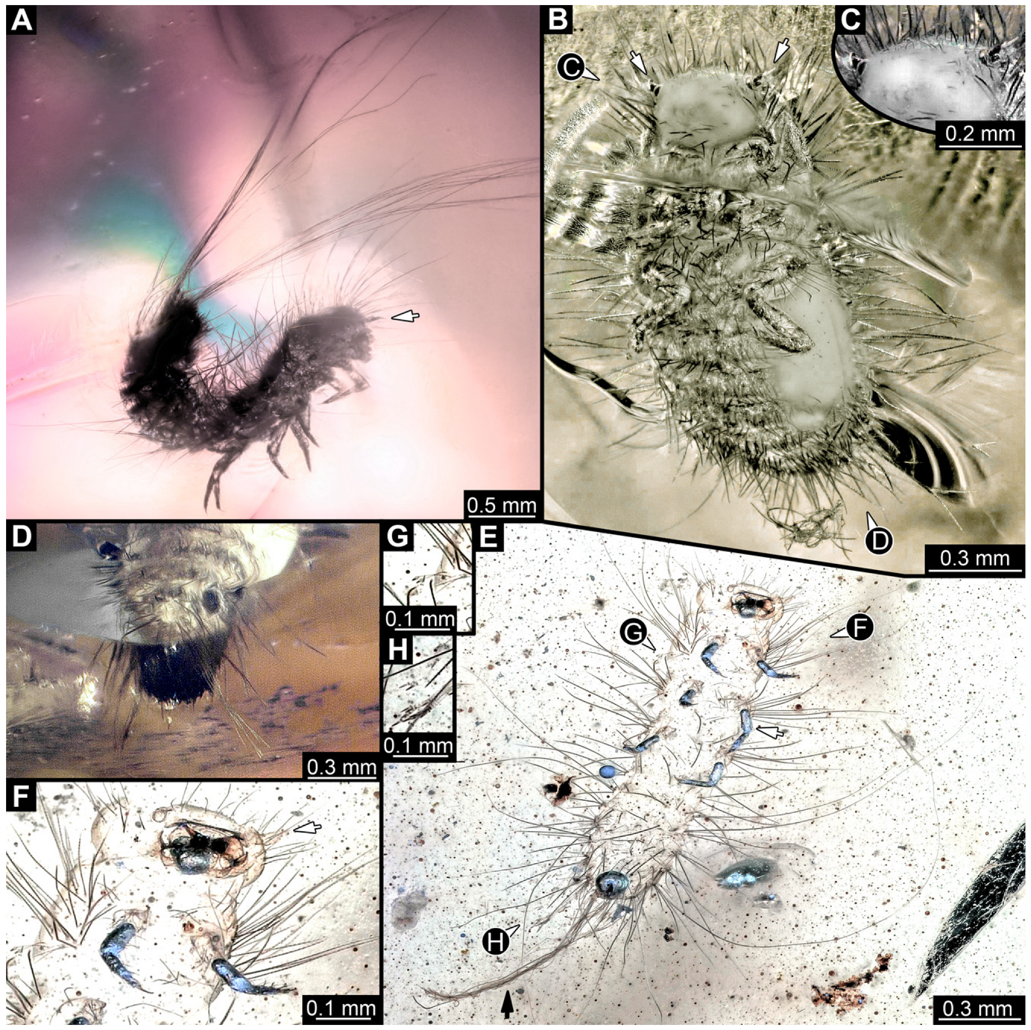 Insects 16 00710 g009