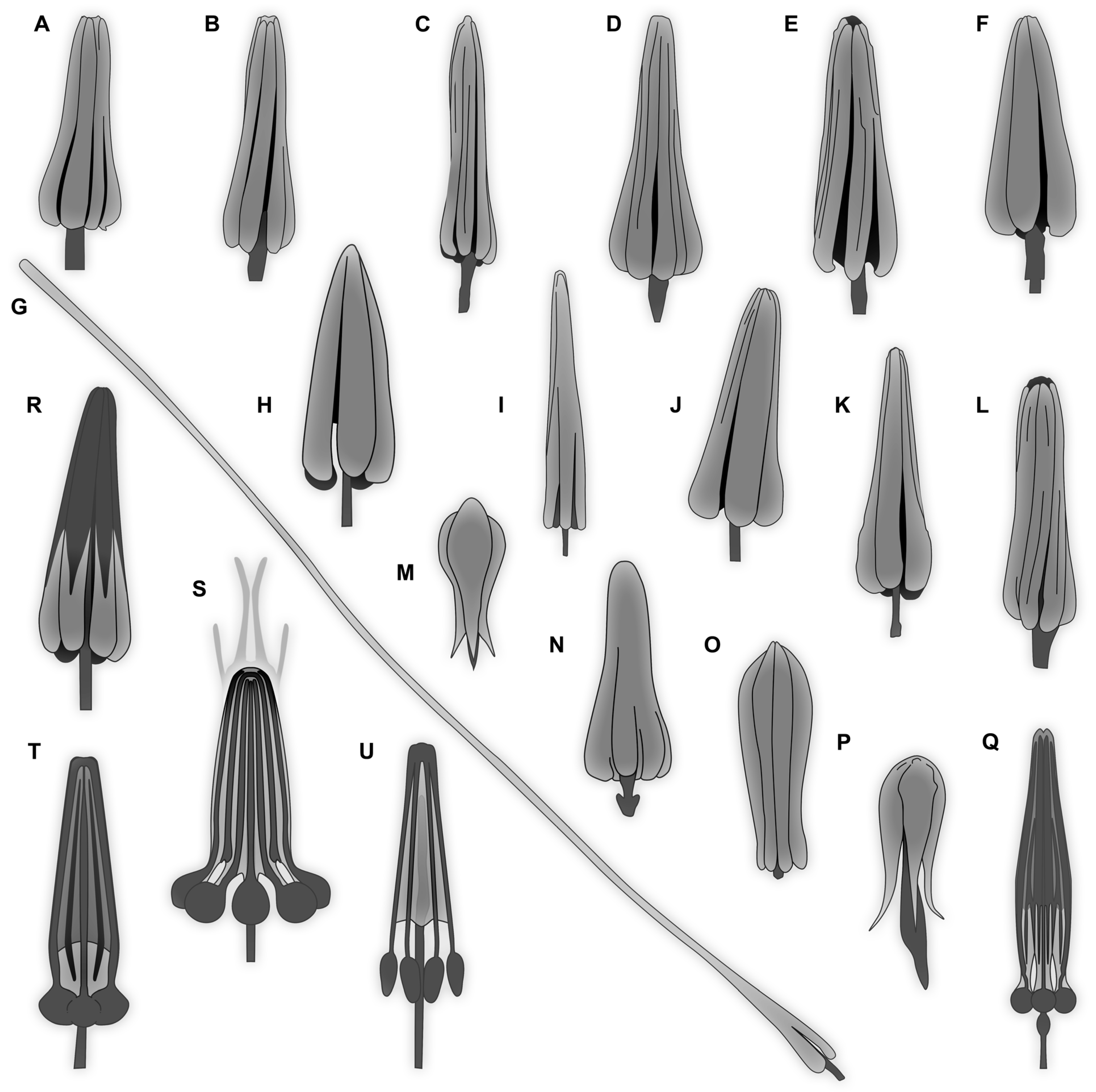 Insects 16 00710 g033