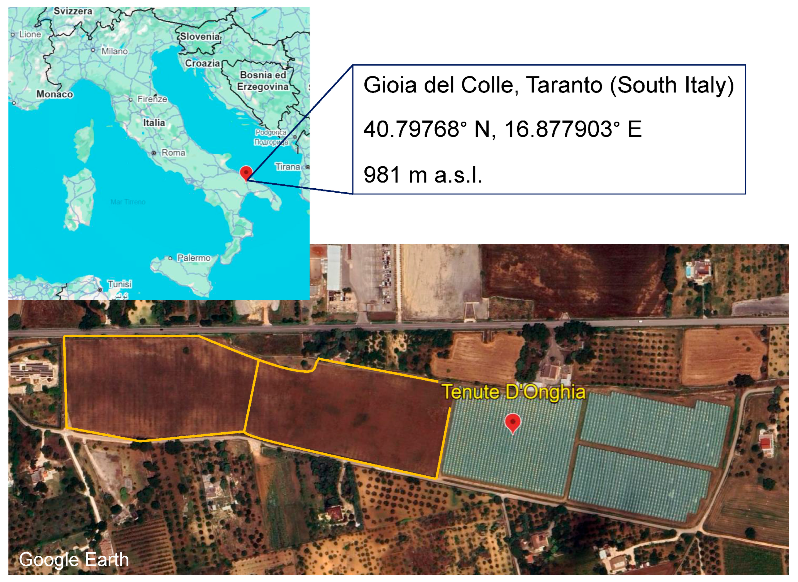 Insects 16 00715 g001