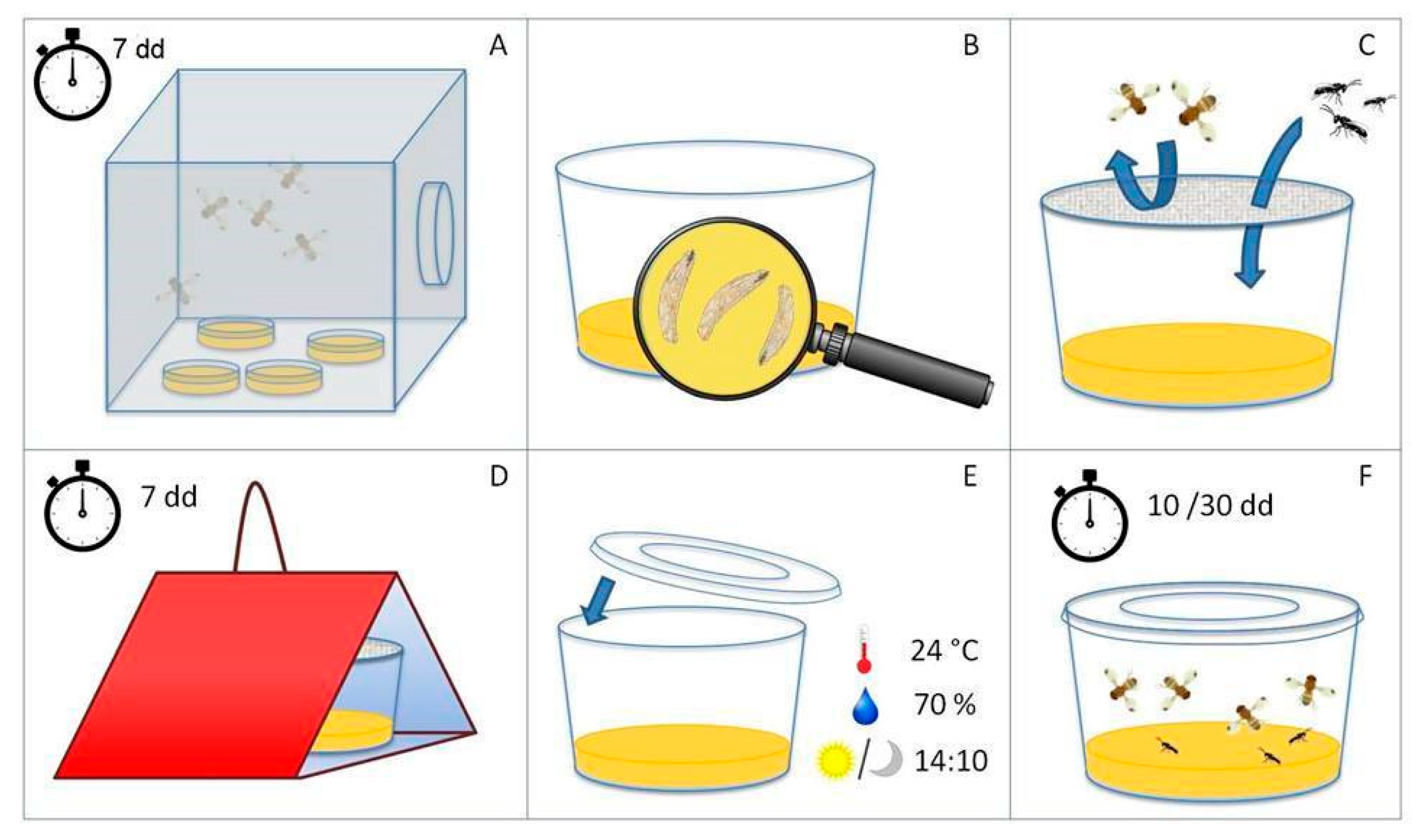 Insects 16 00715 g003