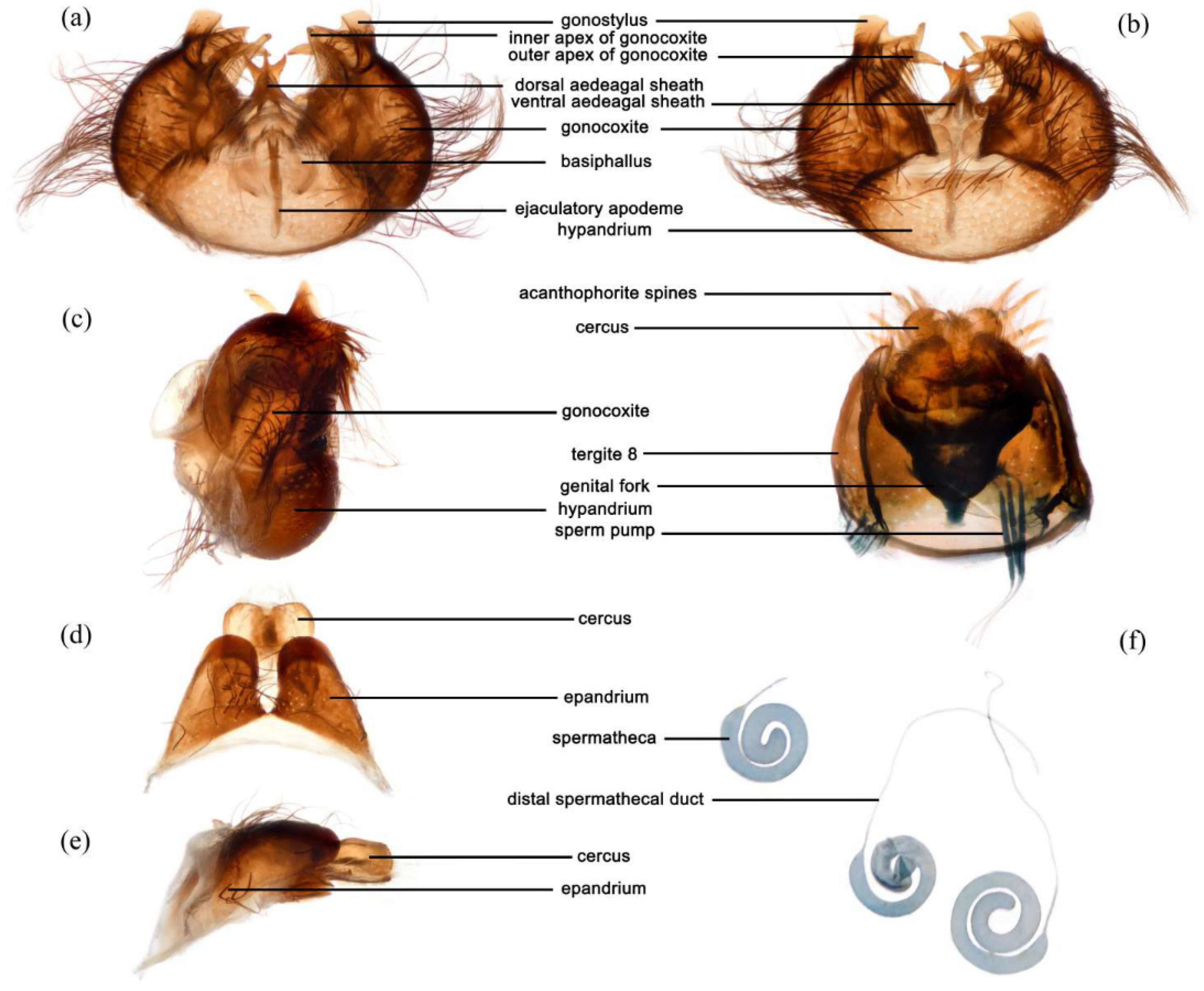 Insects 16 00722 g006