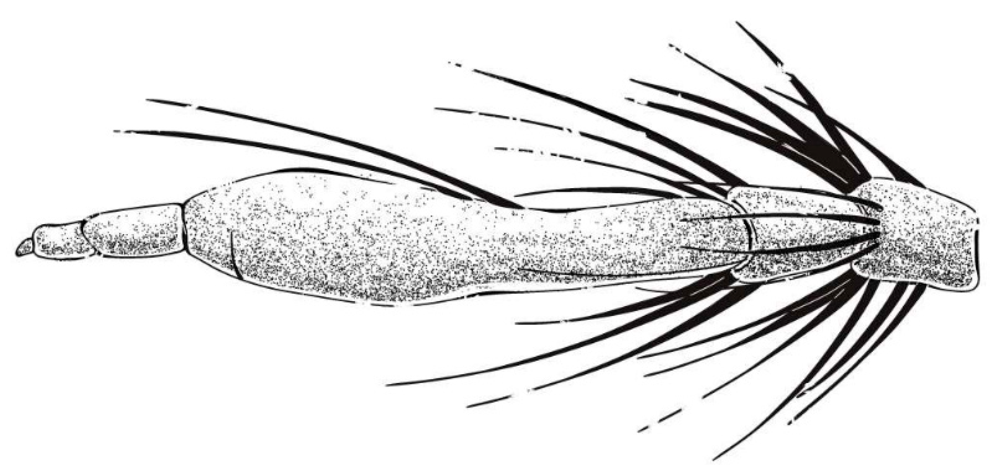 Insects 16 00722 g009