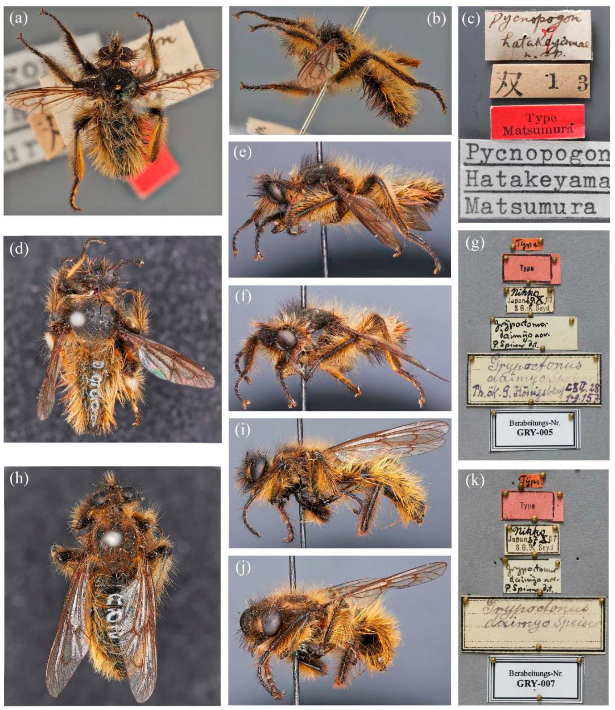 Insects 16 00722 g010