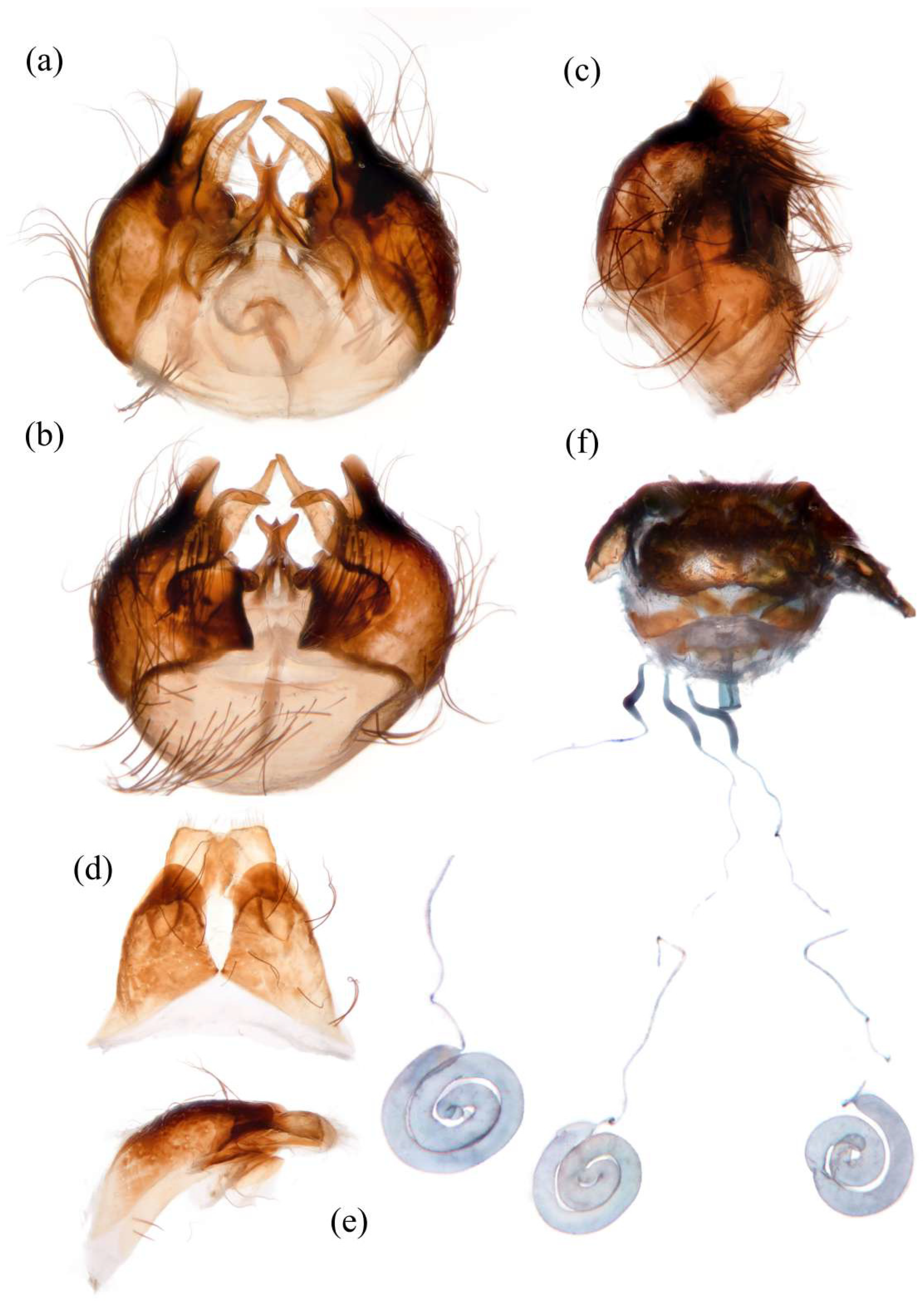 Insects 16 00722 g014