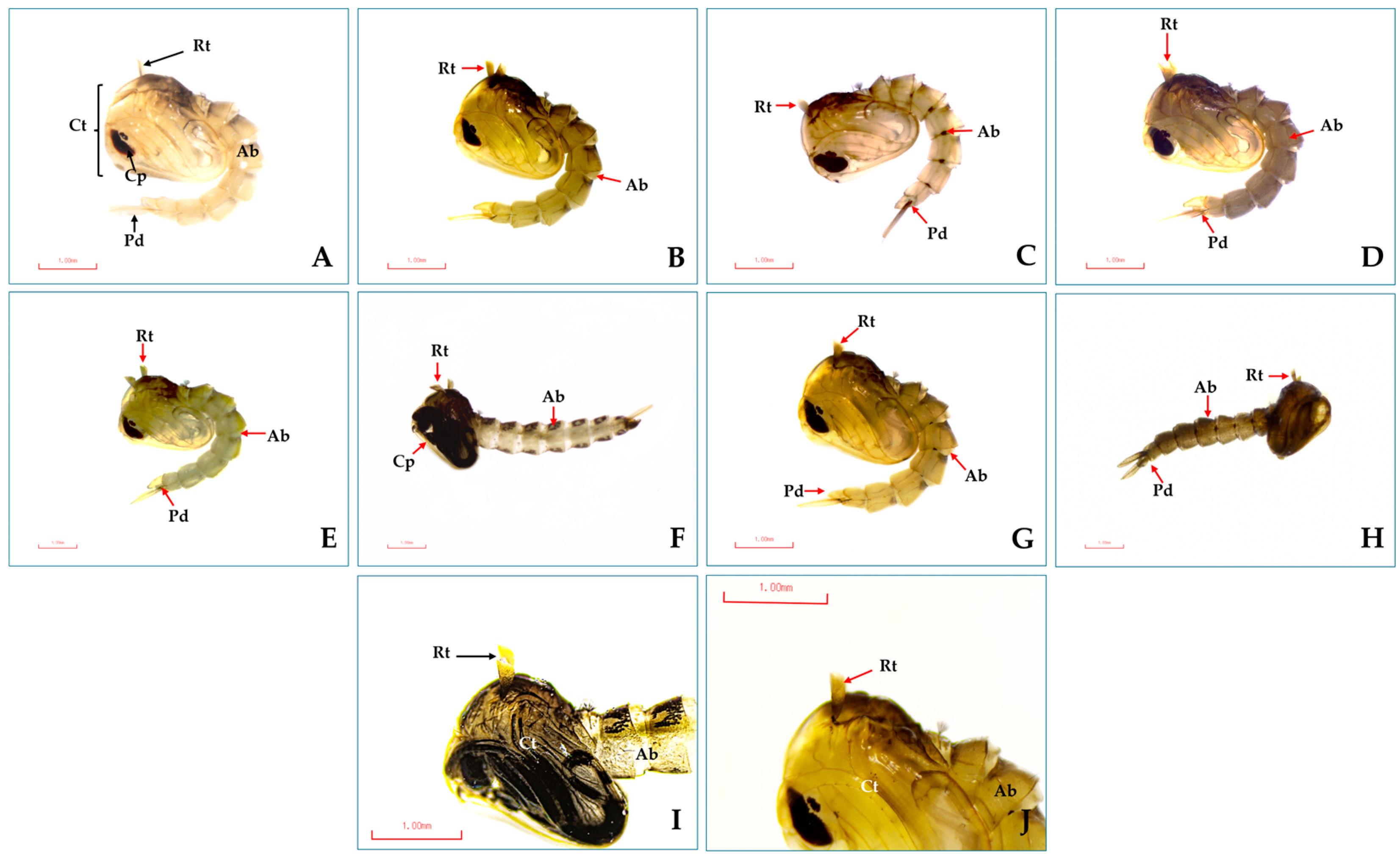 Insects 16 00738 g008