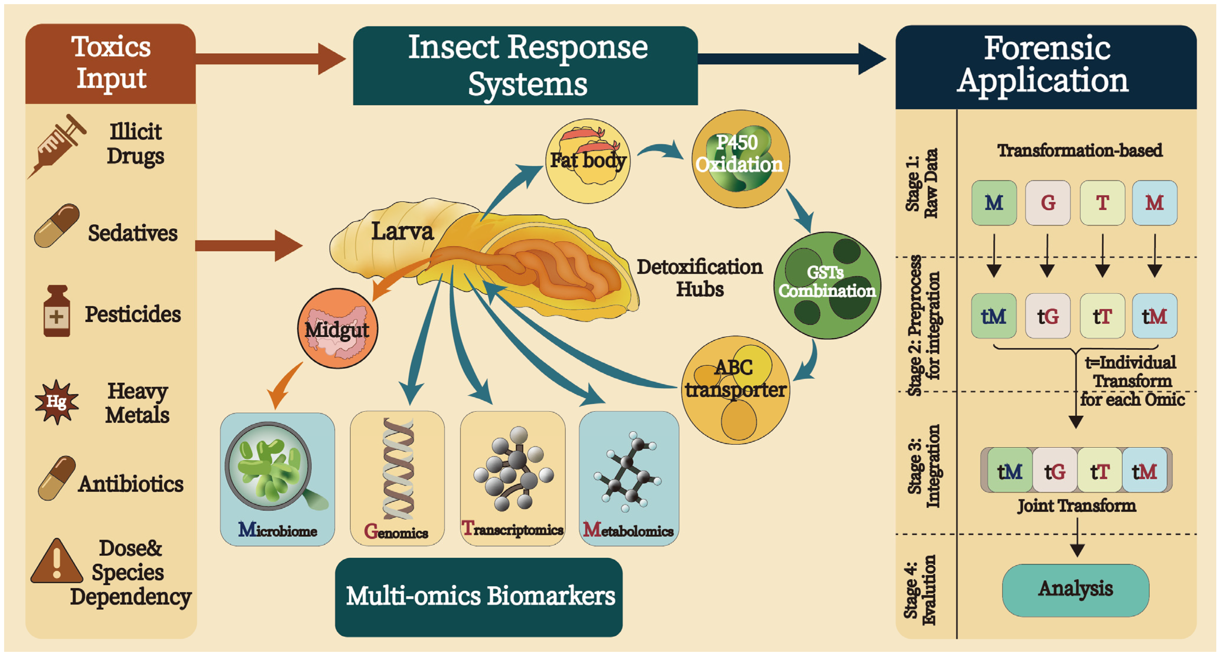 Insects 16 00744 g001