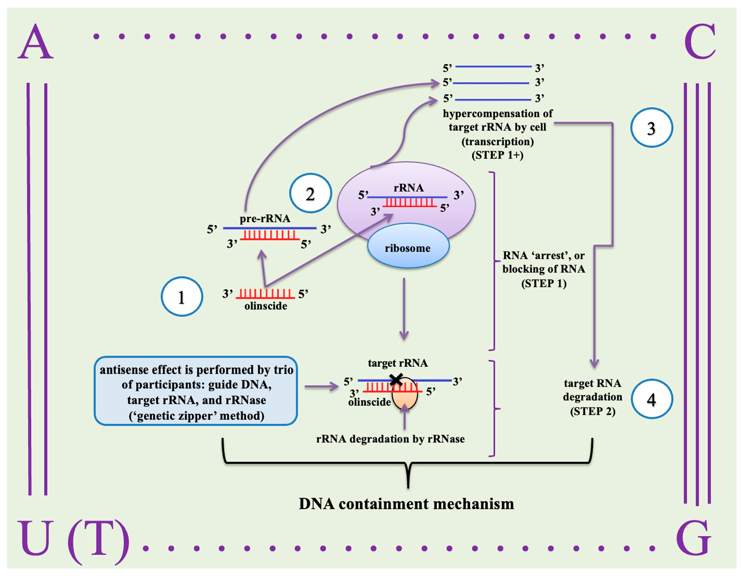 Insects 16 00746 g003