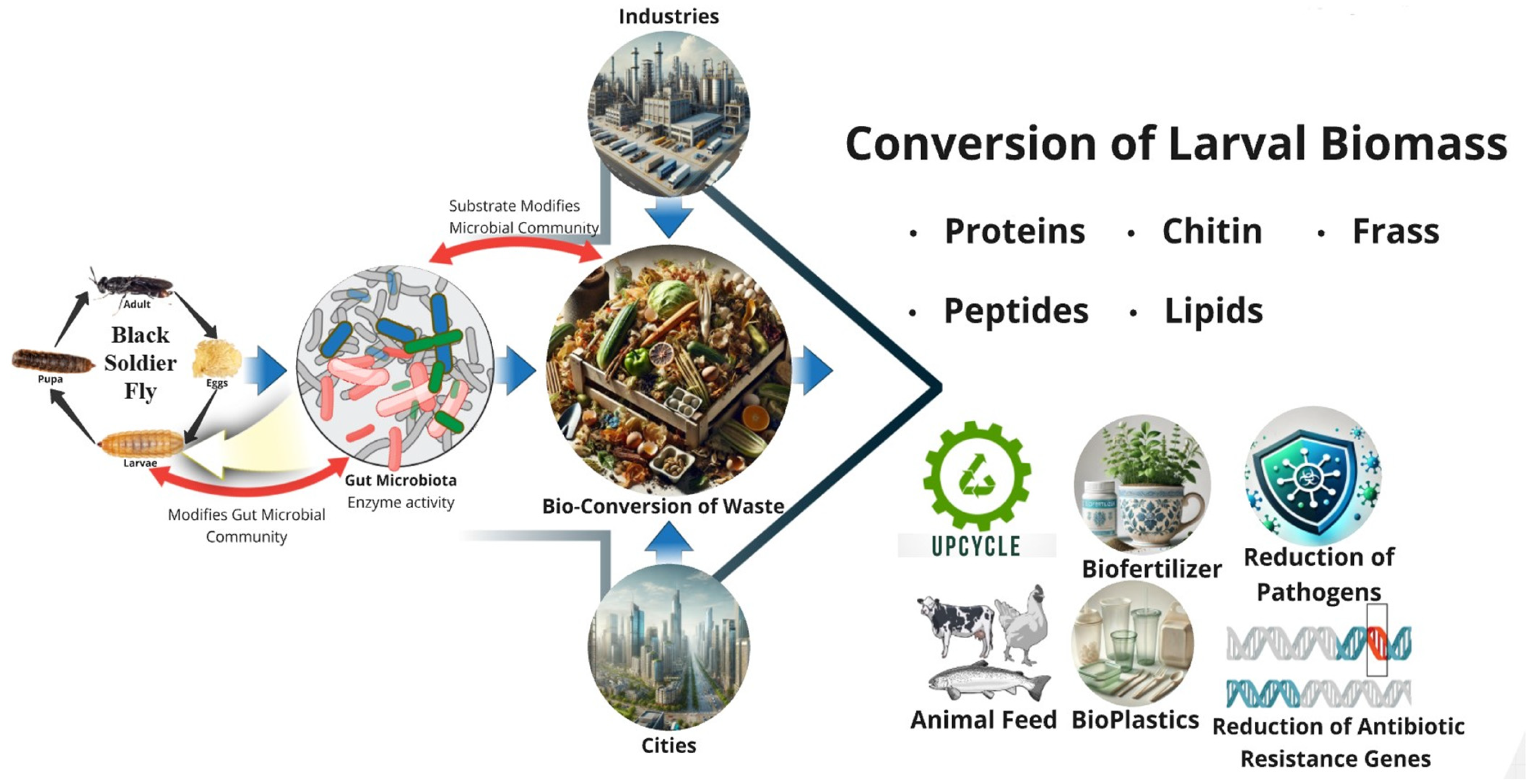 Insects 16 00750 g002