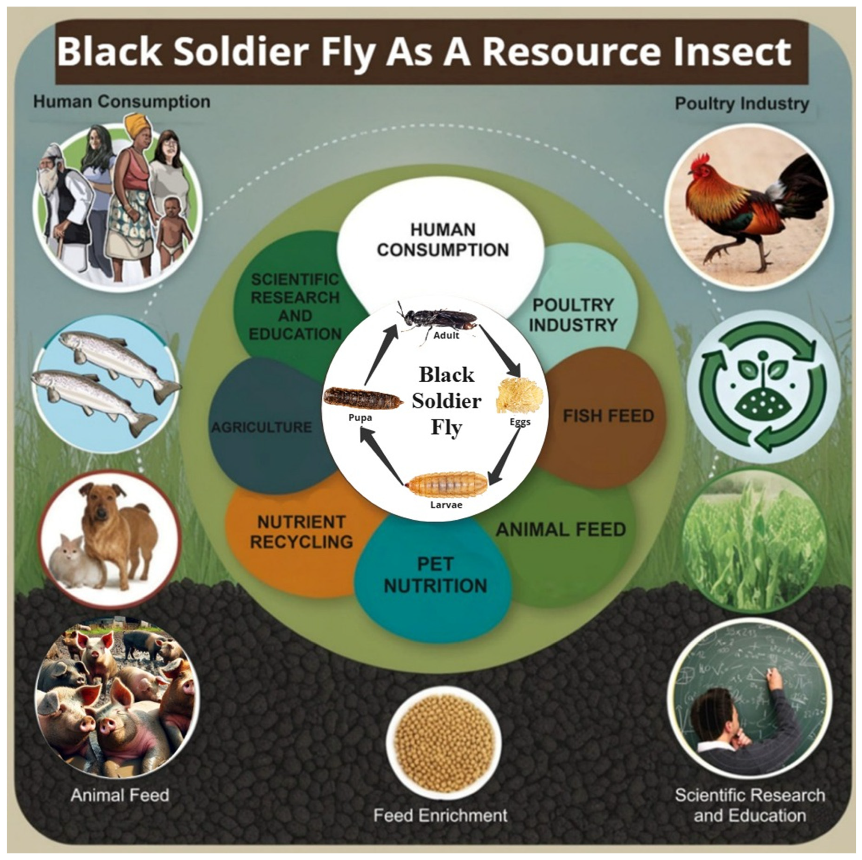 Insects 16 00750 g003