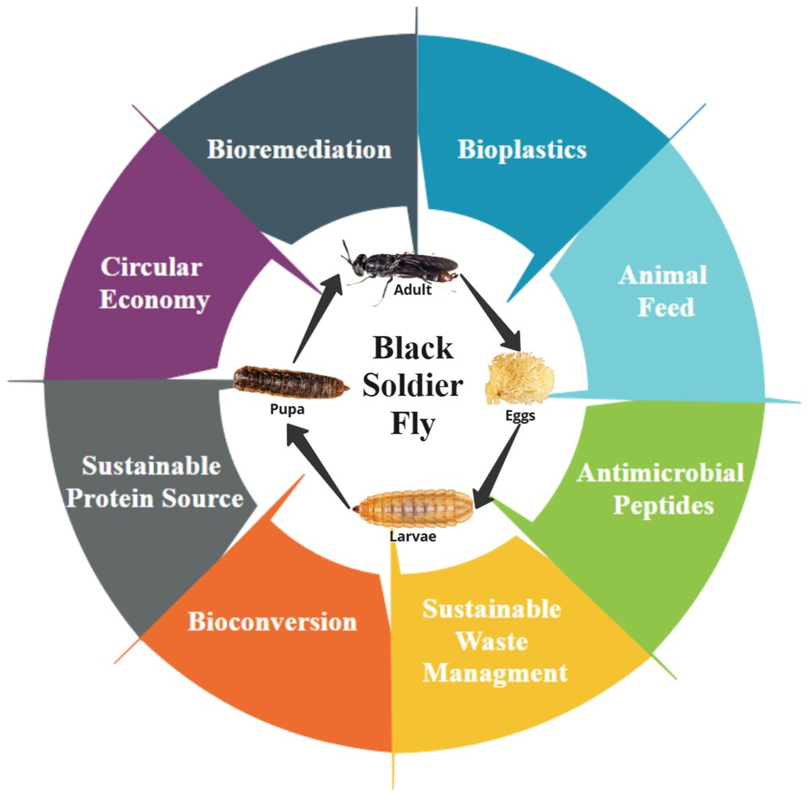 Insects 16 00750 g005