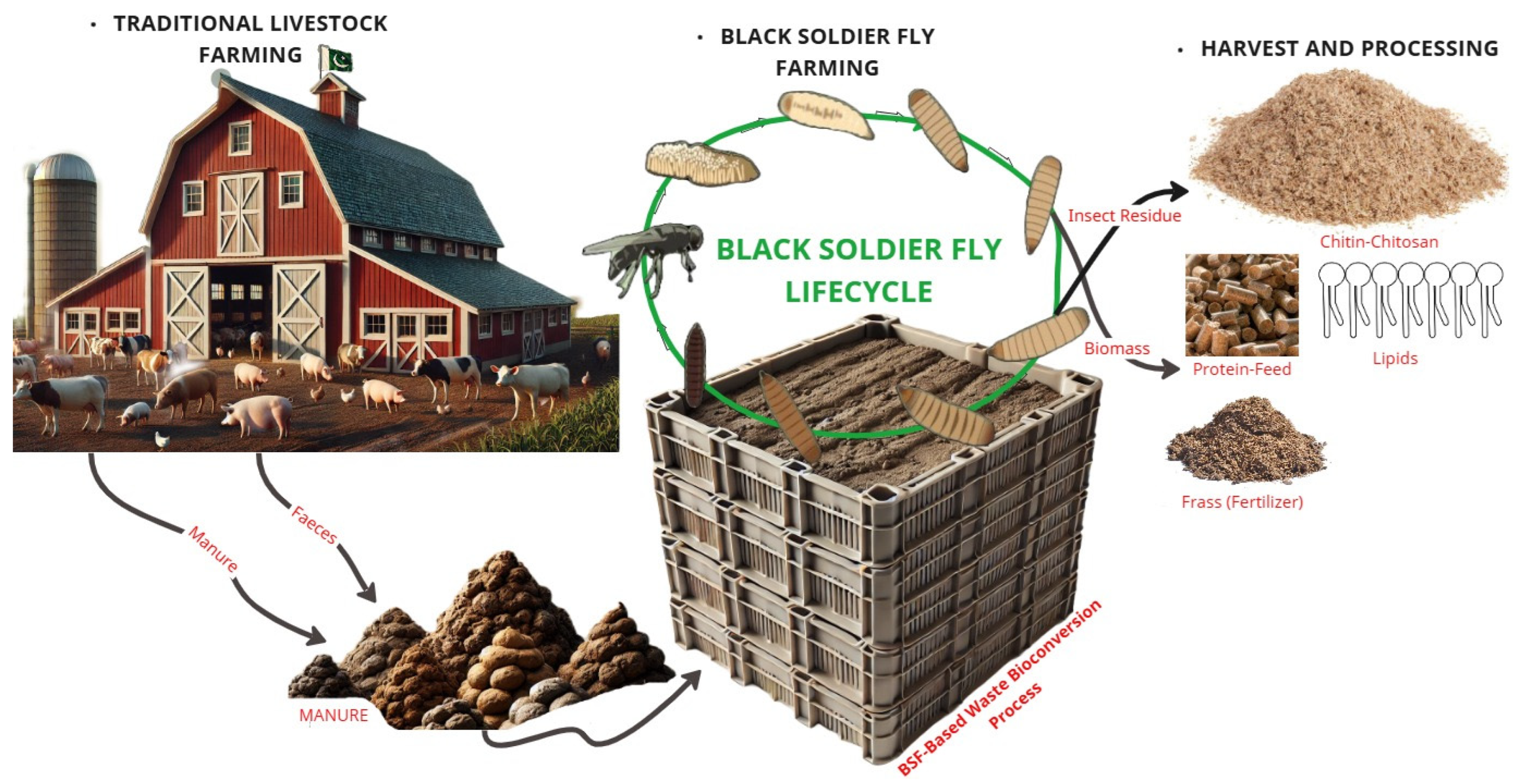 Insects 16 00750 g007