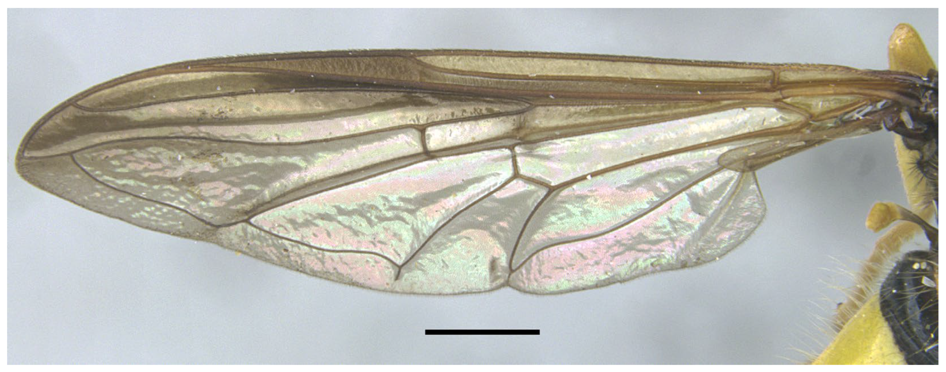 Insects 16 00758 g005 Insects 16 00758 g005