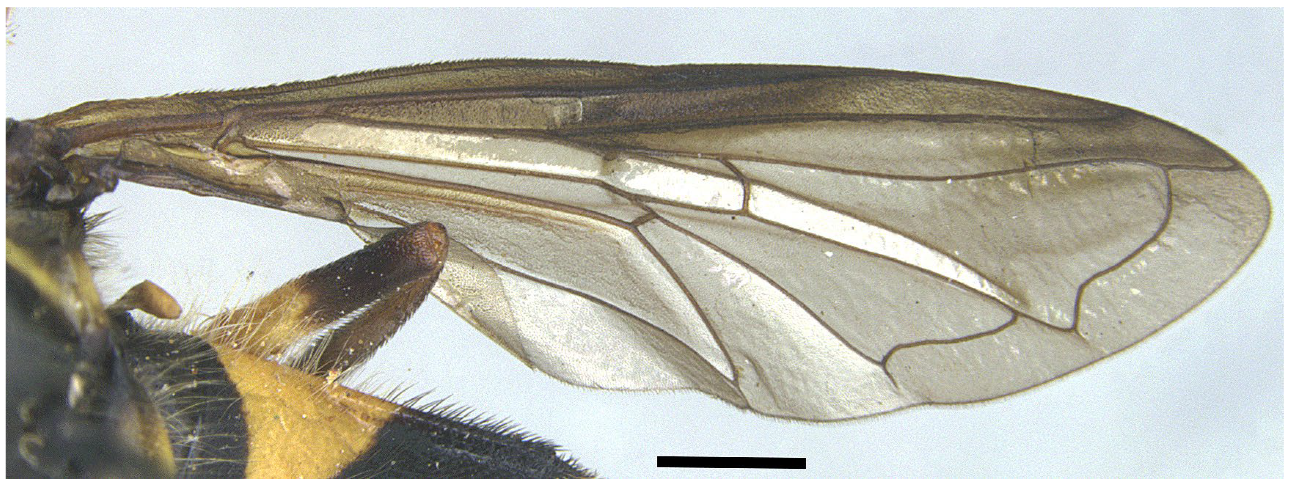 Insects 16 00758 g008 Insects 16 00758 g008