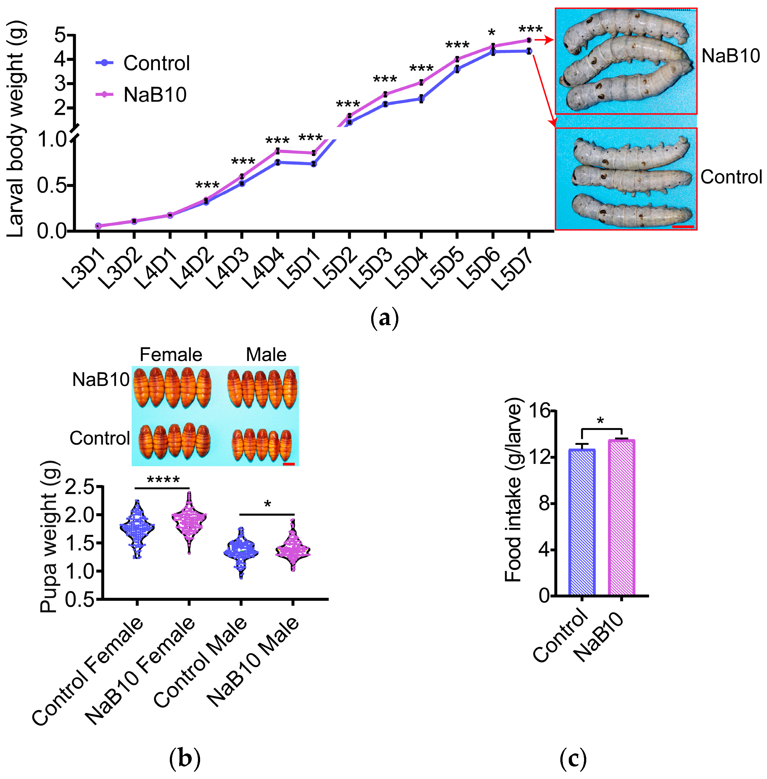 Insects 16 00761 g001