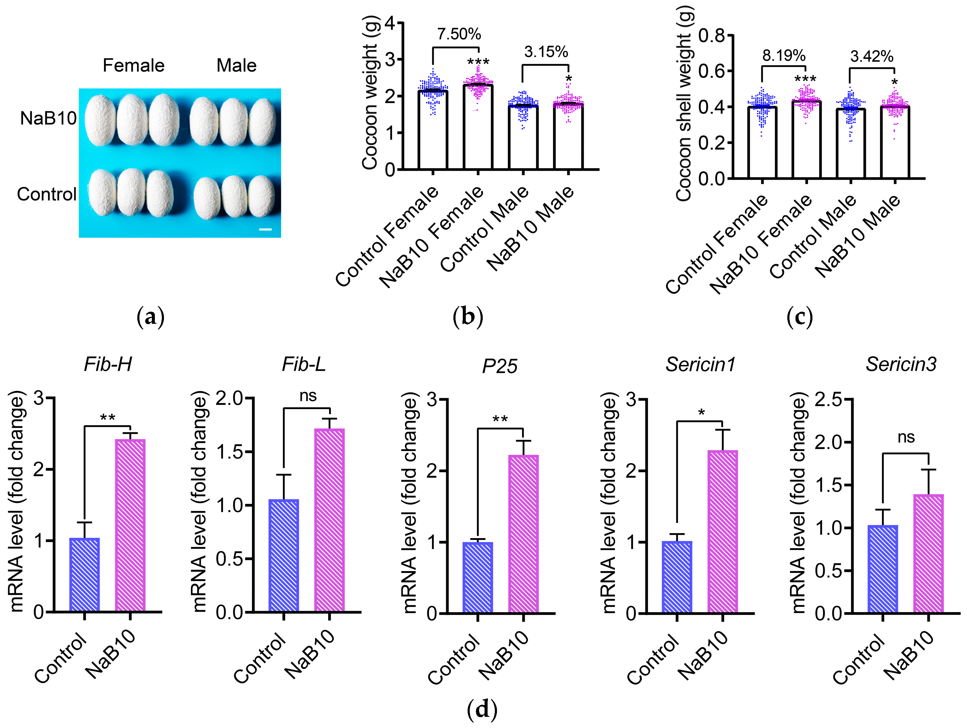 Insects 16 00761 g004