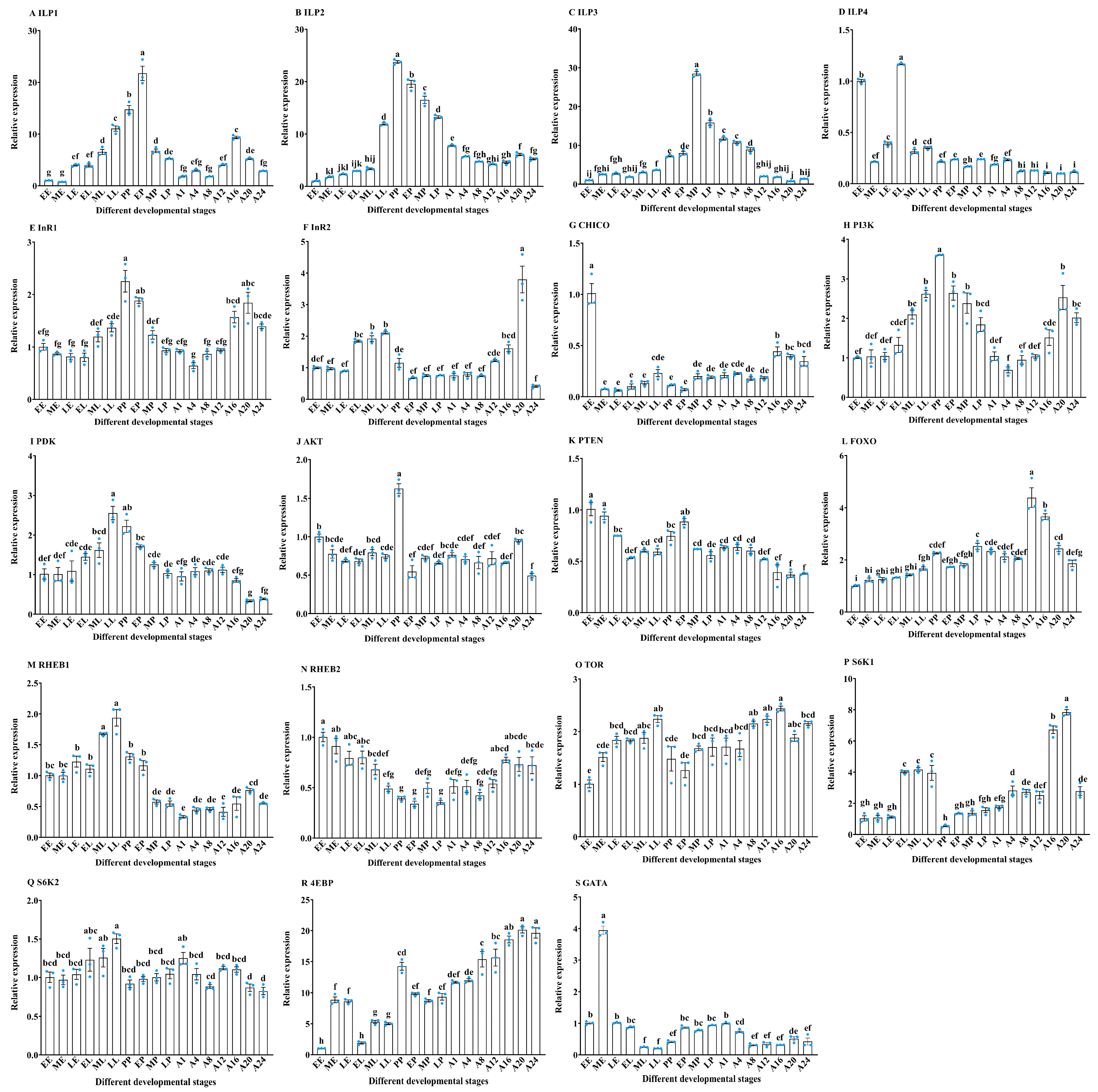 Insects 16 00763 g001