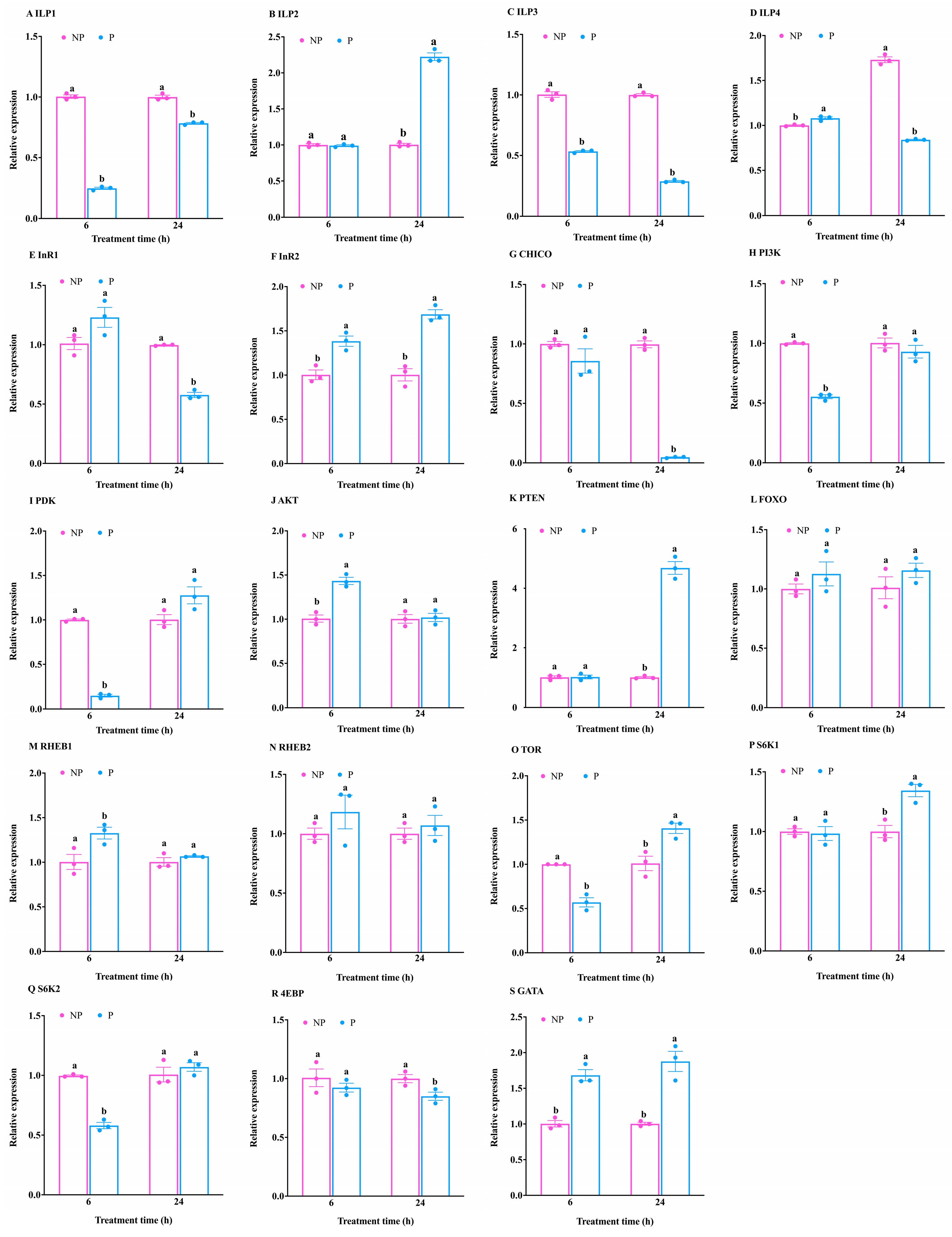 Insects 16 00763 g002