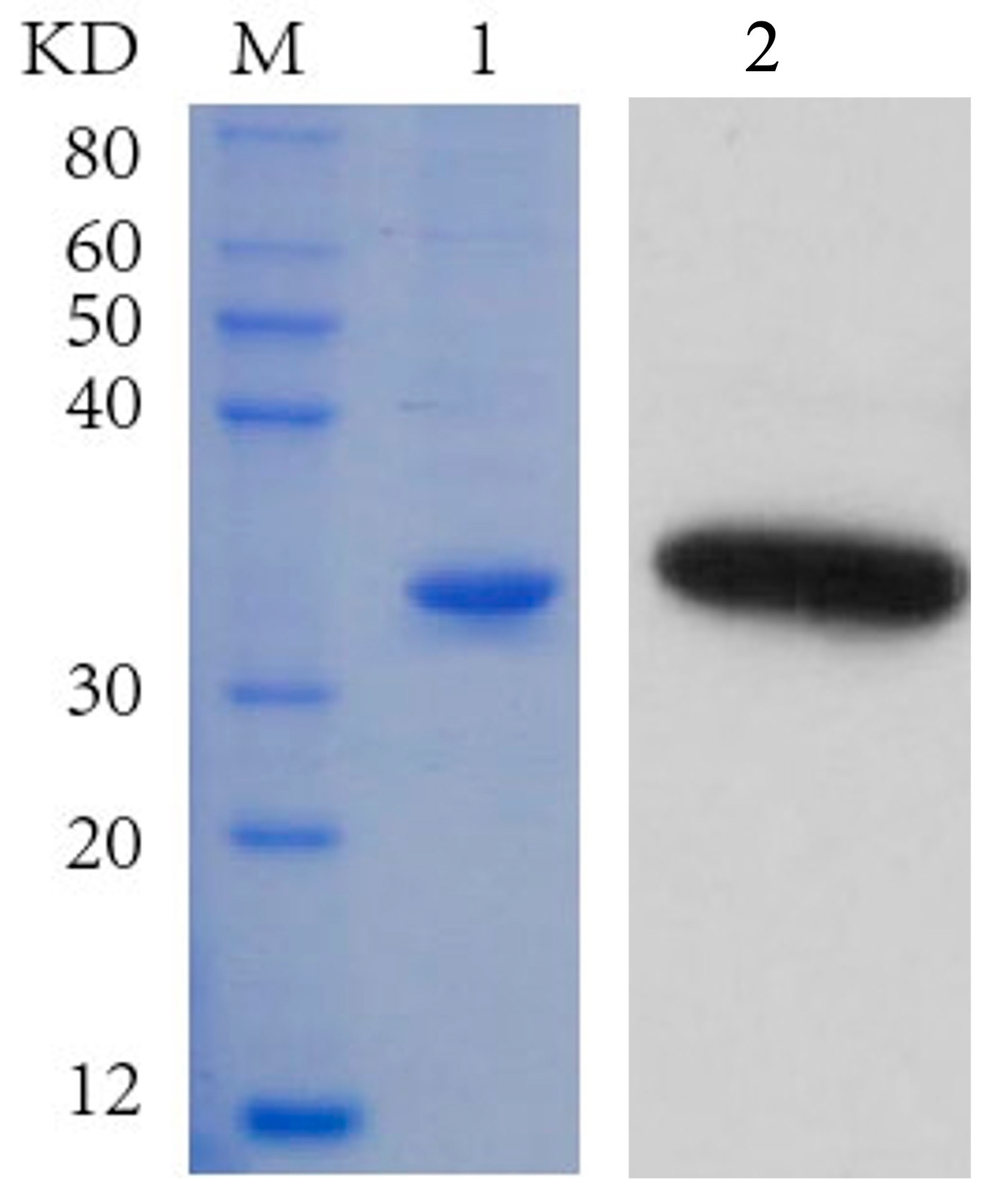 Insects 16 00763 g005