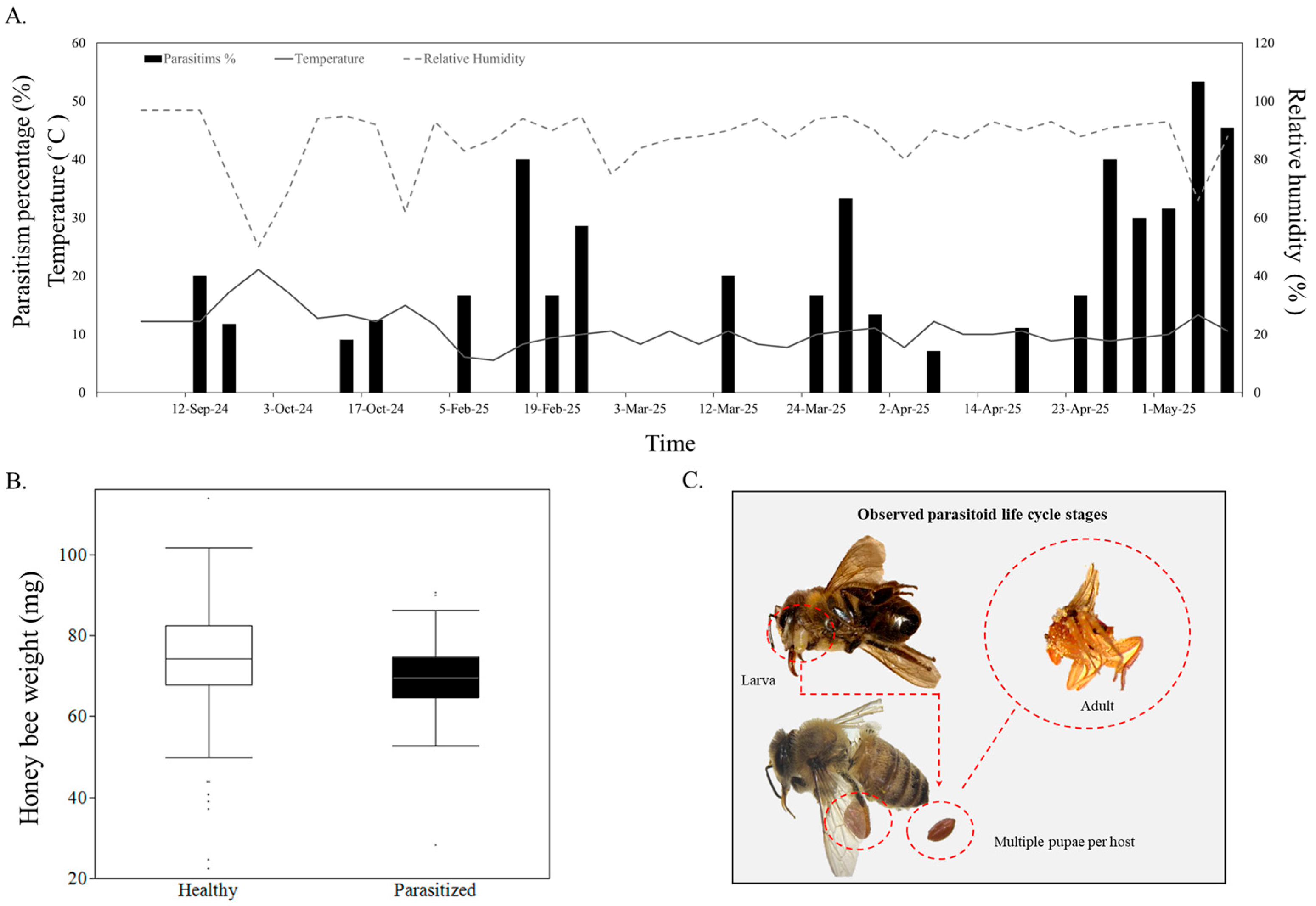 Insects 16 00765 g001
