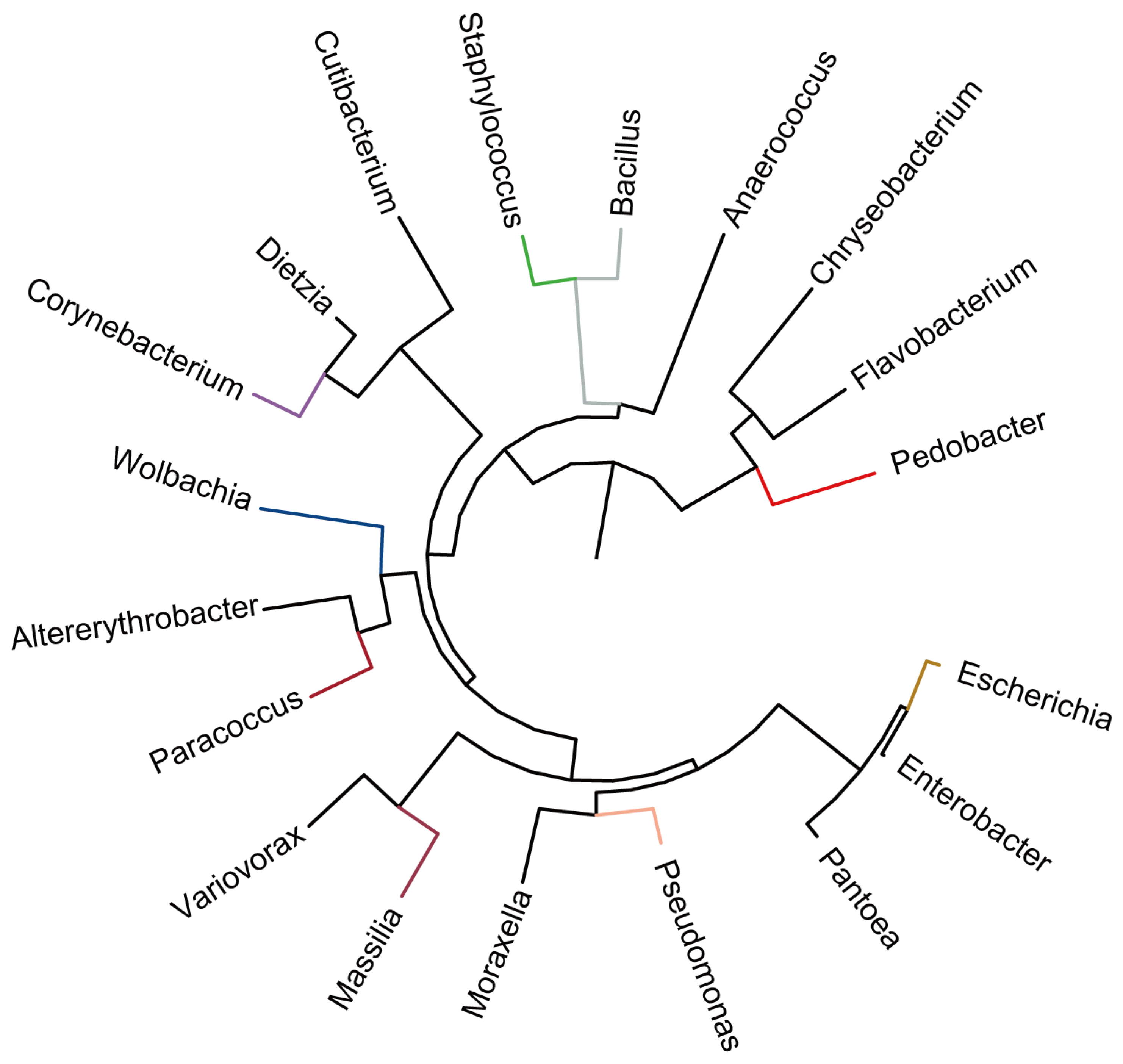 Insects 16 00767 g004