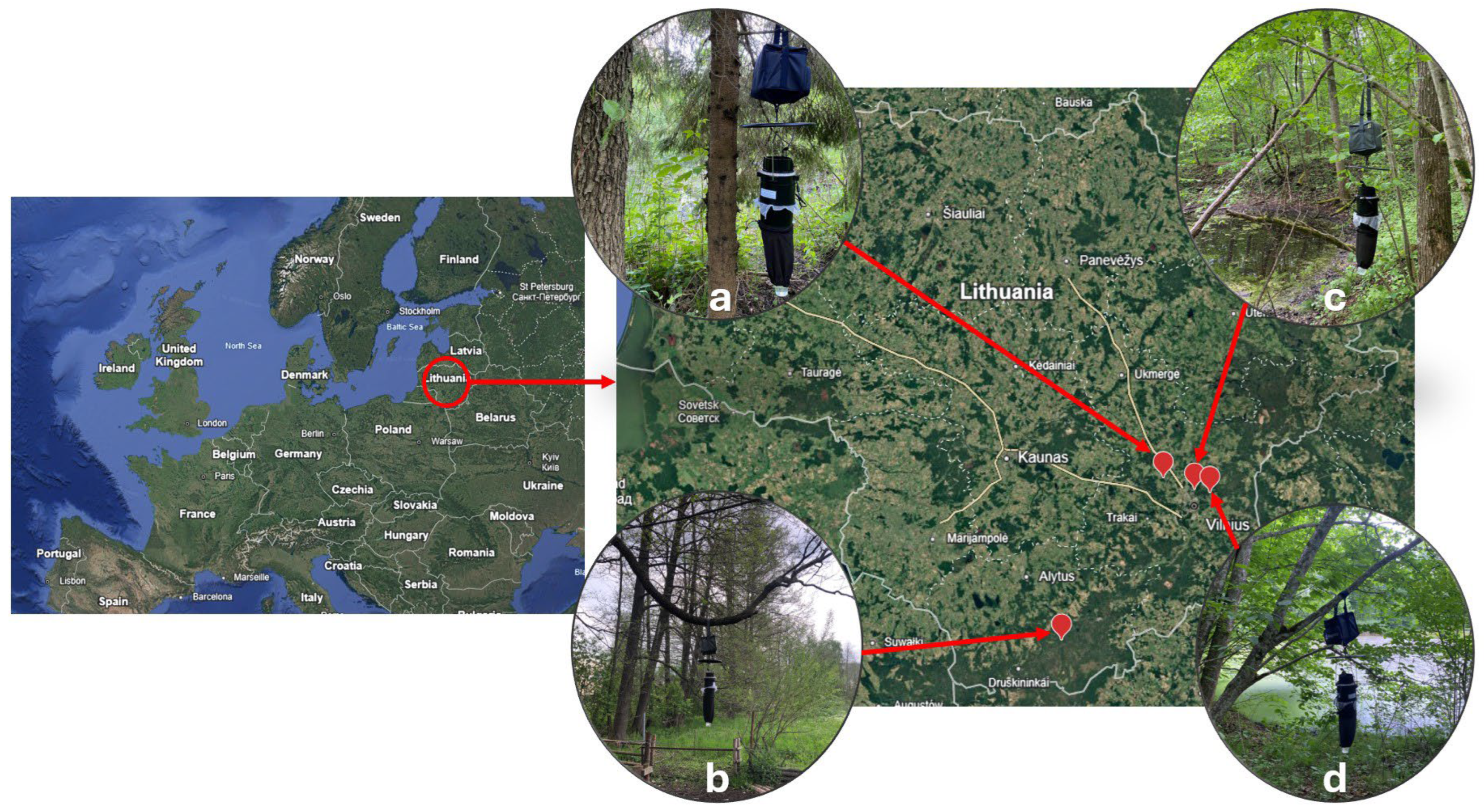 Insects 16 00770 g001