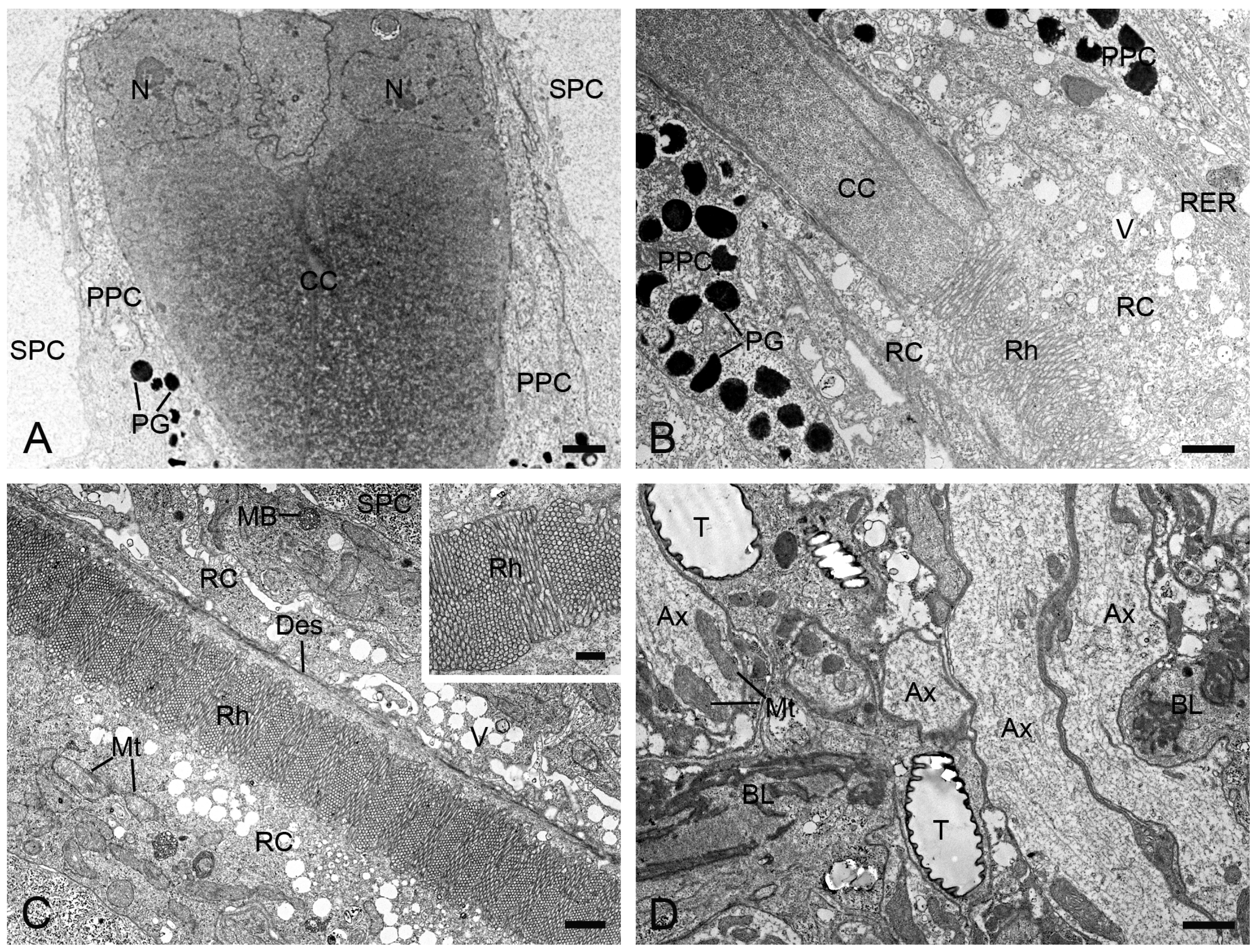 Insects 16 00771 g003