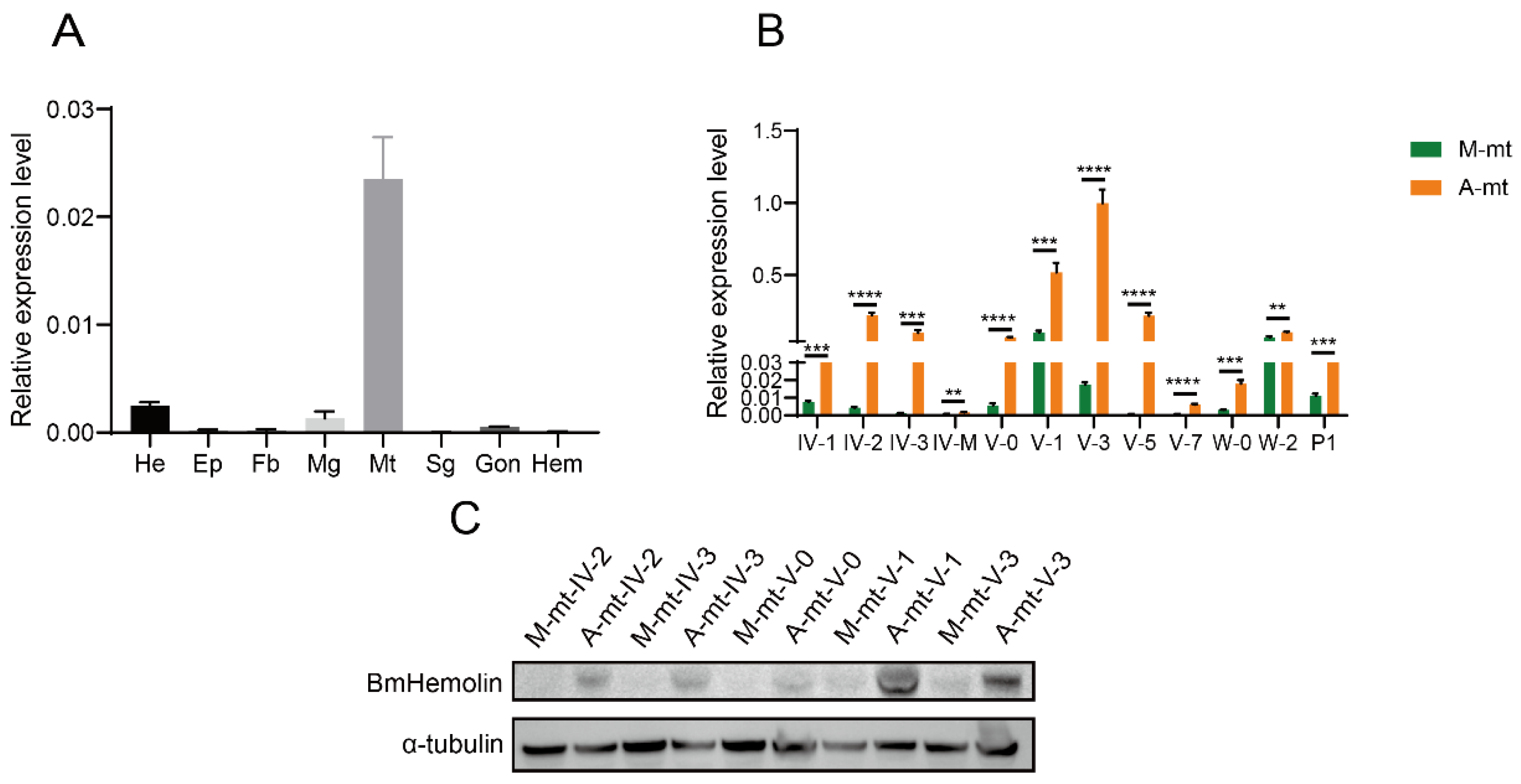 Insects 16 00778 g001