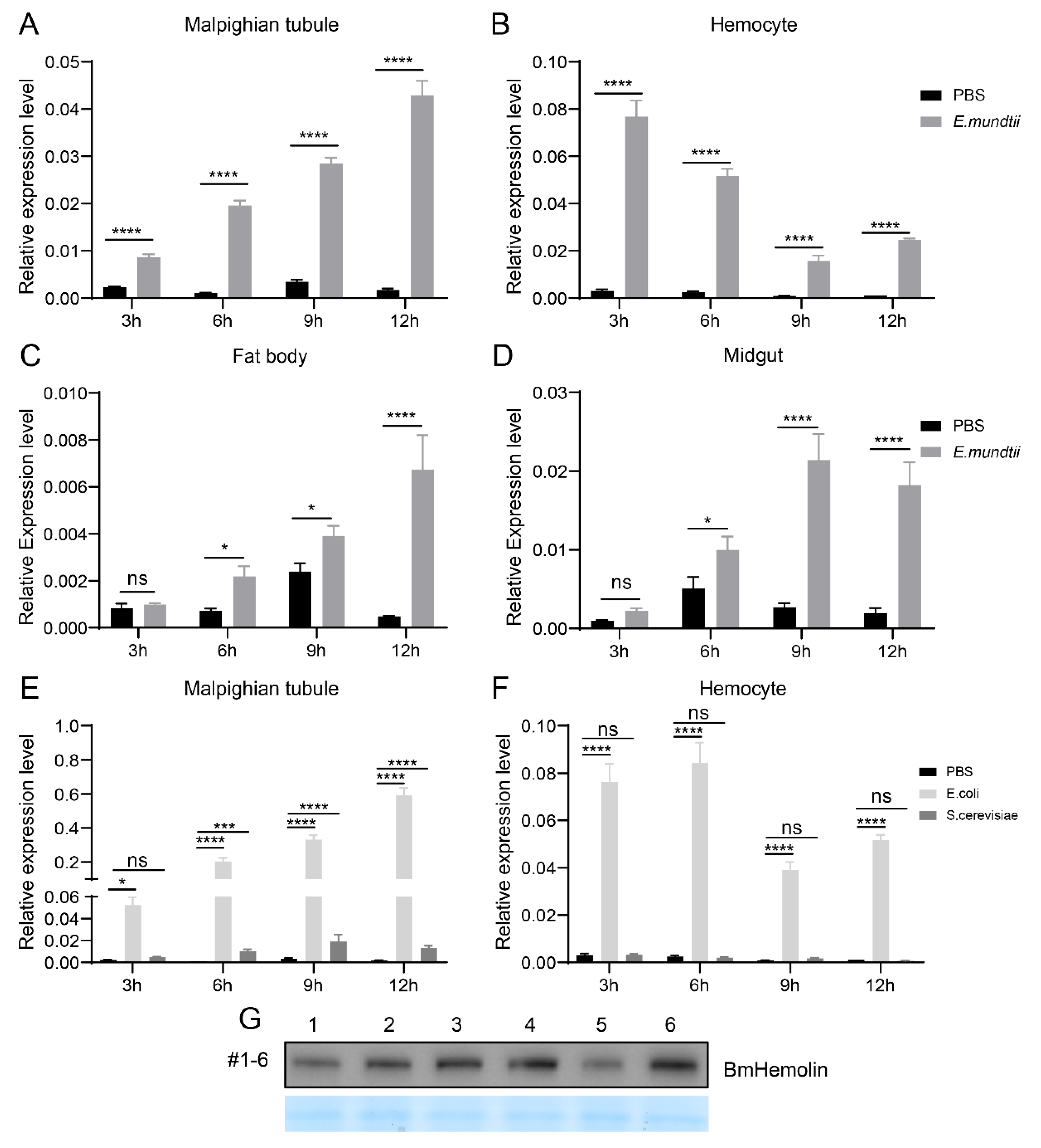 Insects 16 00778 g002