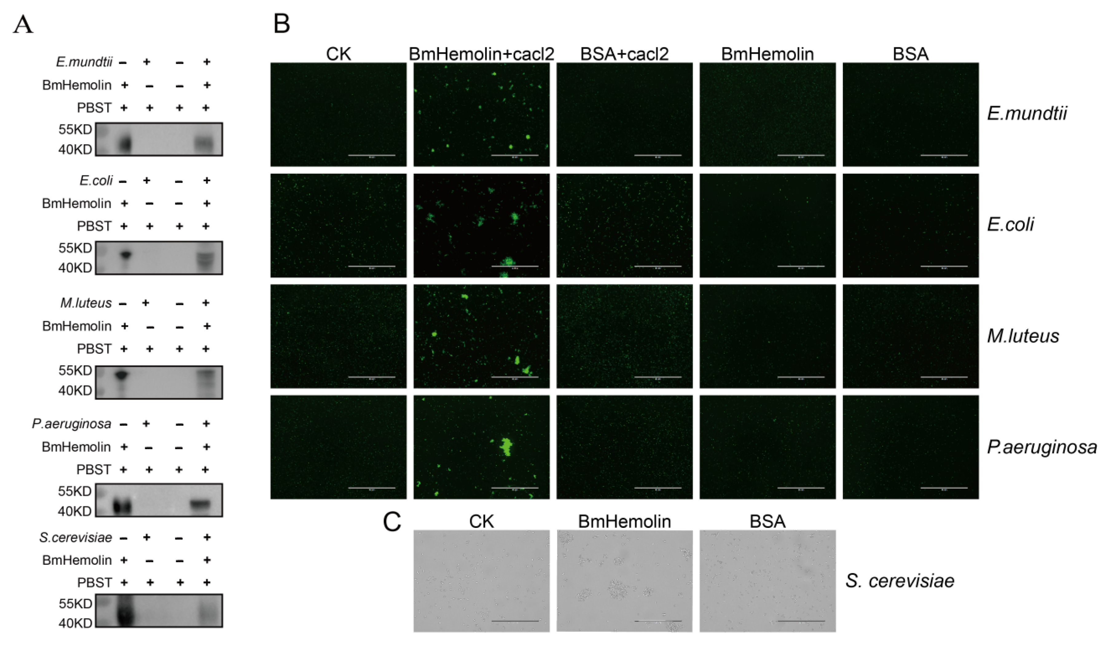 Insects 16 00778 g003