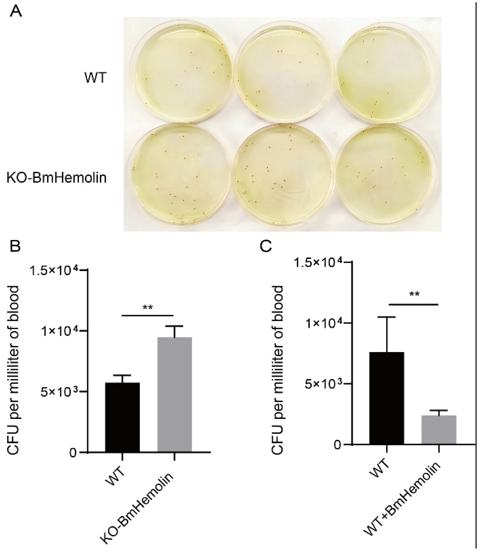 Insects 16 00778 g006