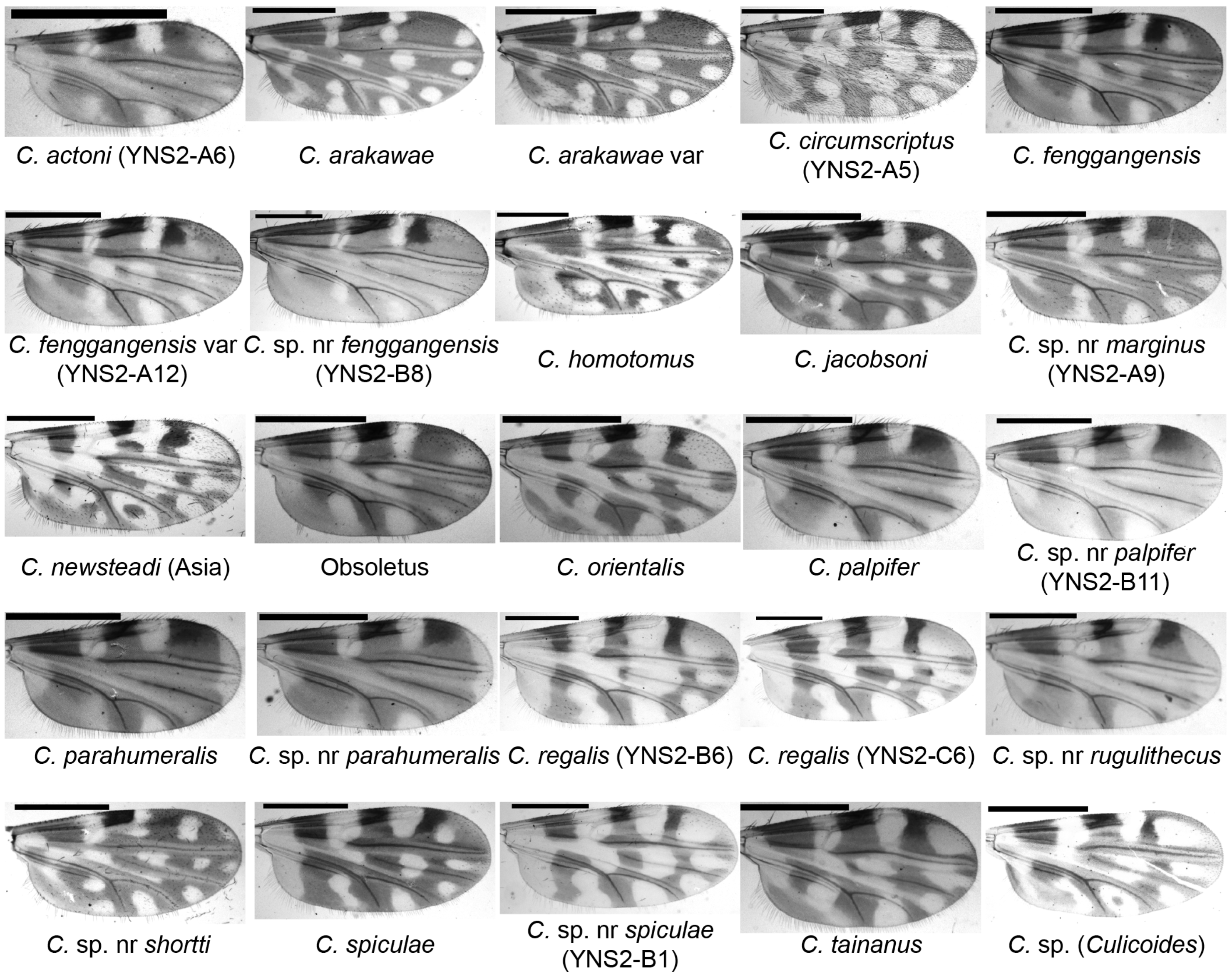 Insects 16 00780 g002