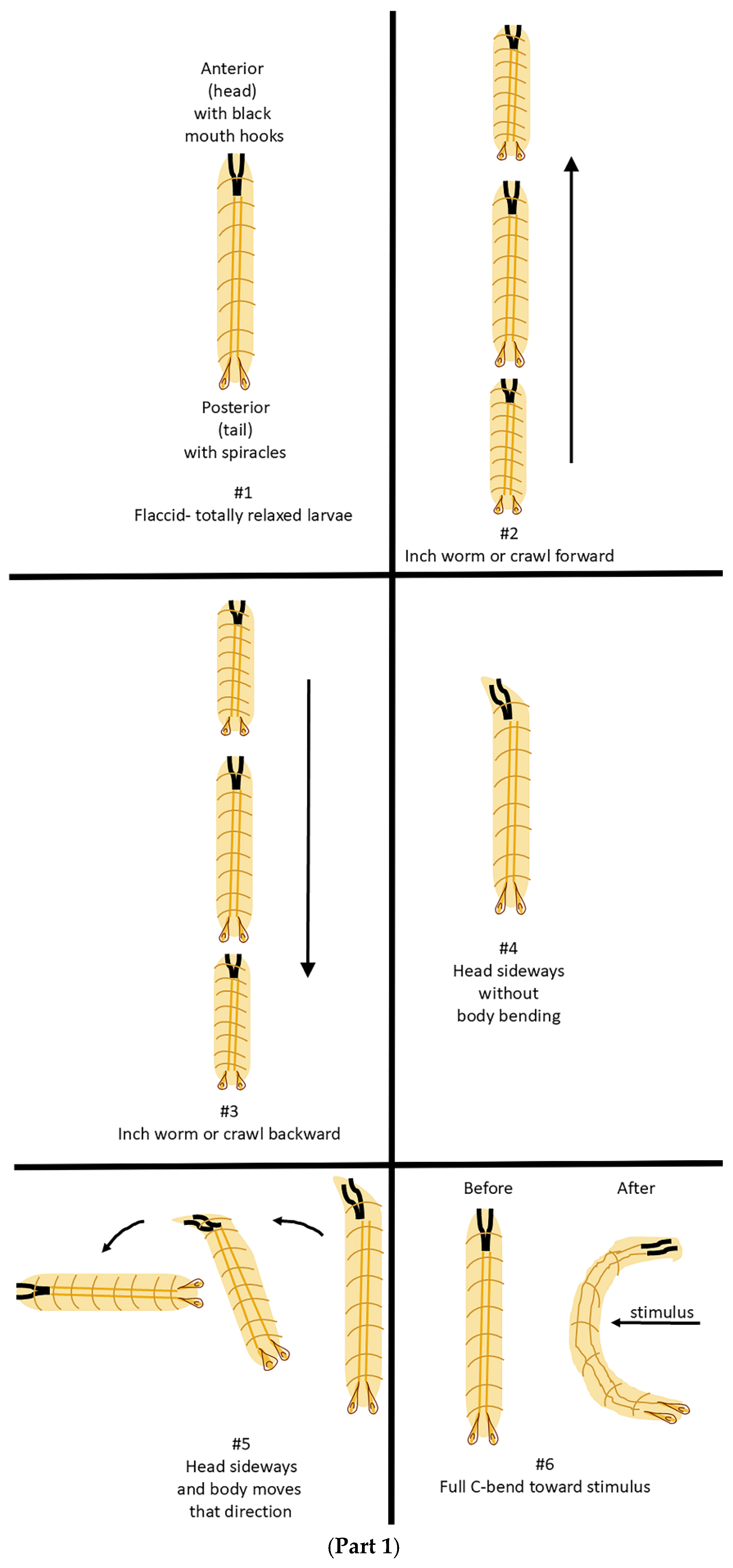Insects 16 00787 g0a1a