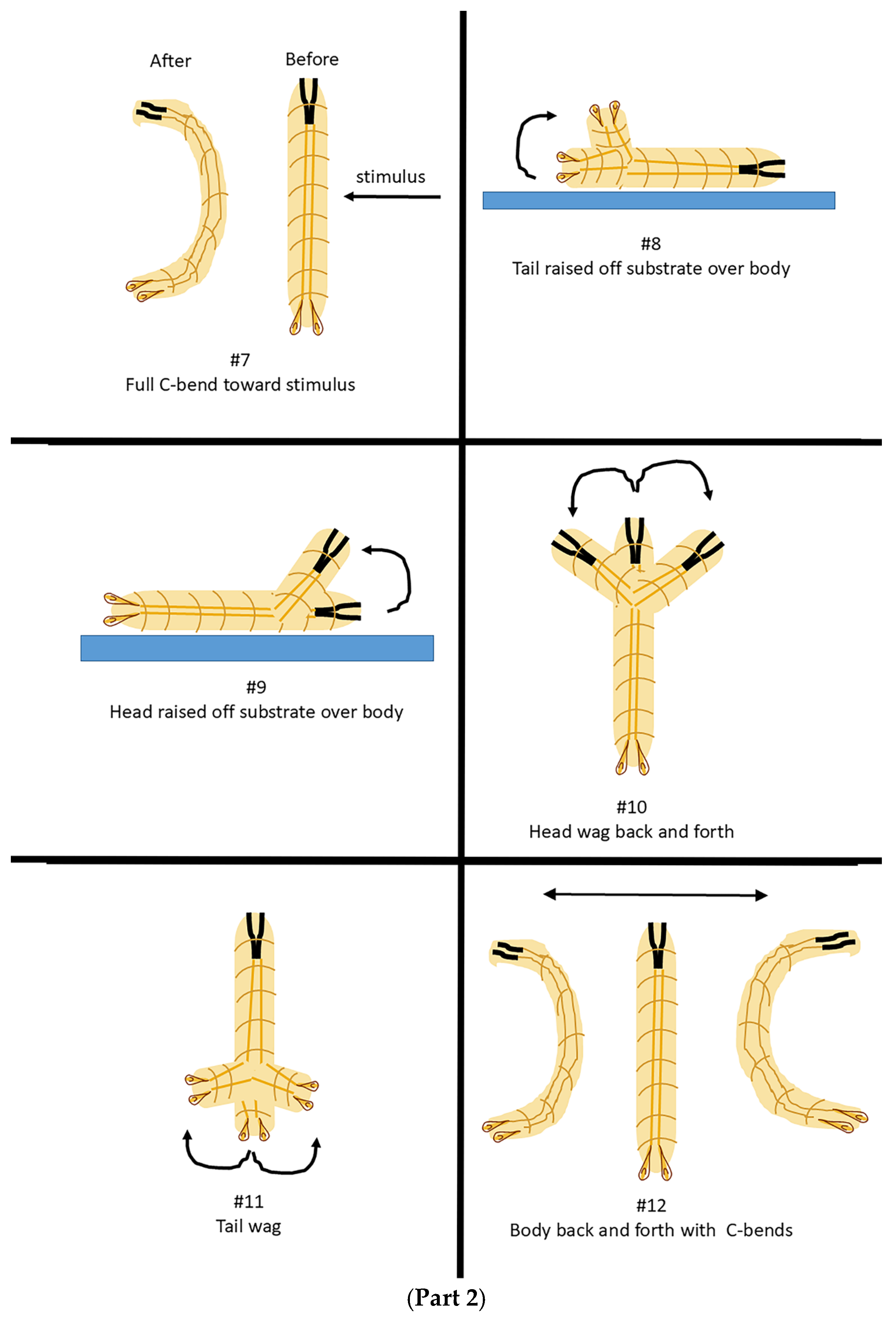 Insects 16 00787 g0a1b