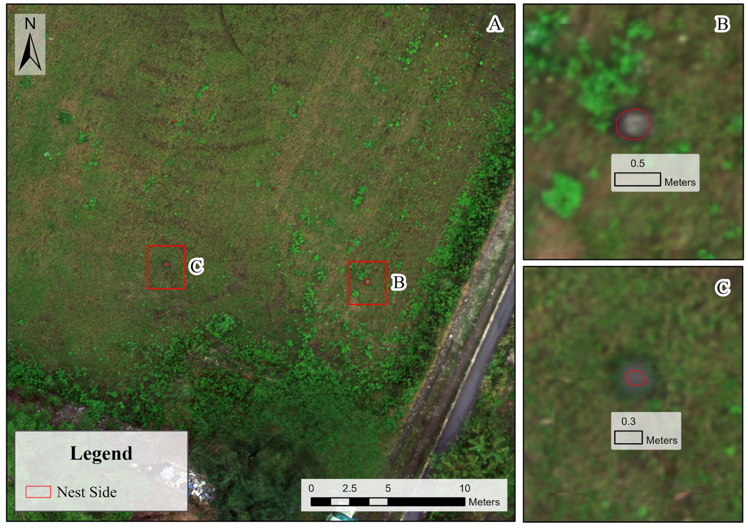 Insects 16 00793 g003