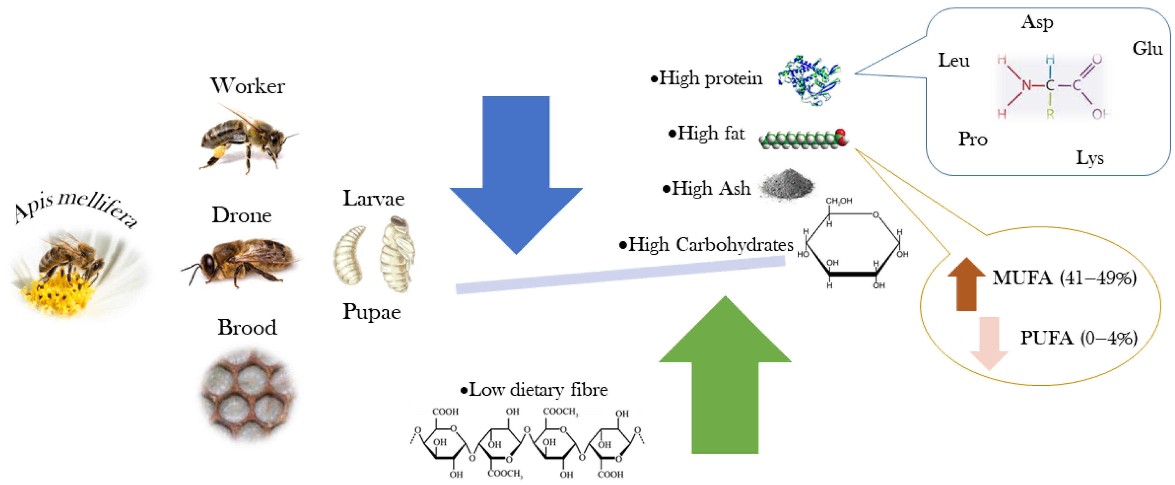Insects 16 00796 g003