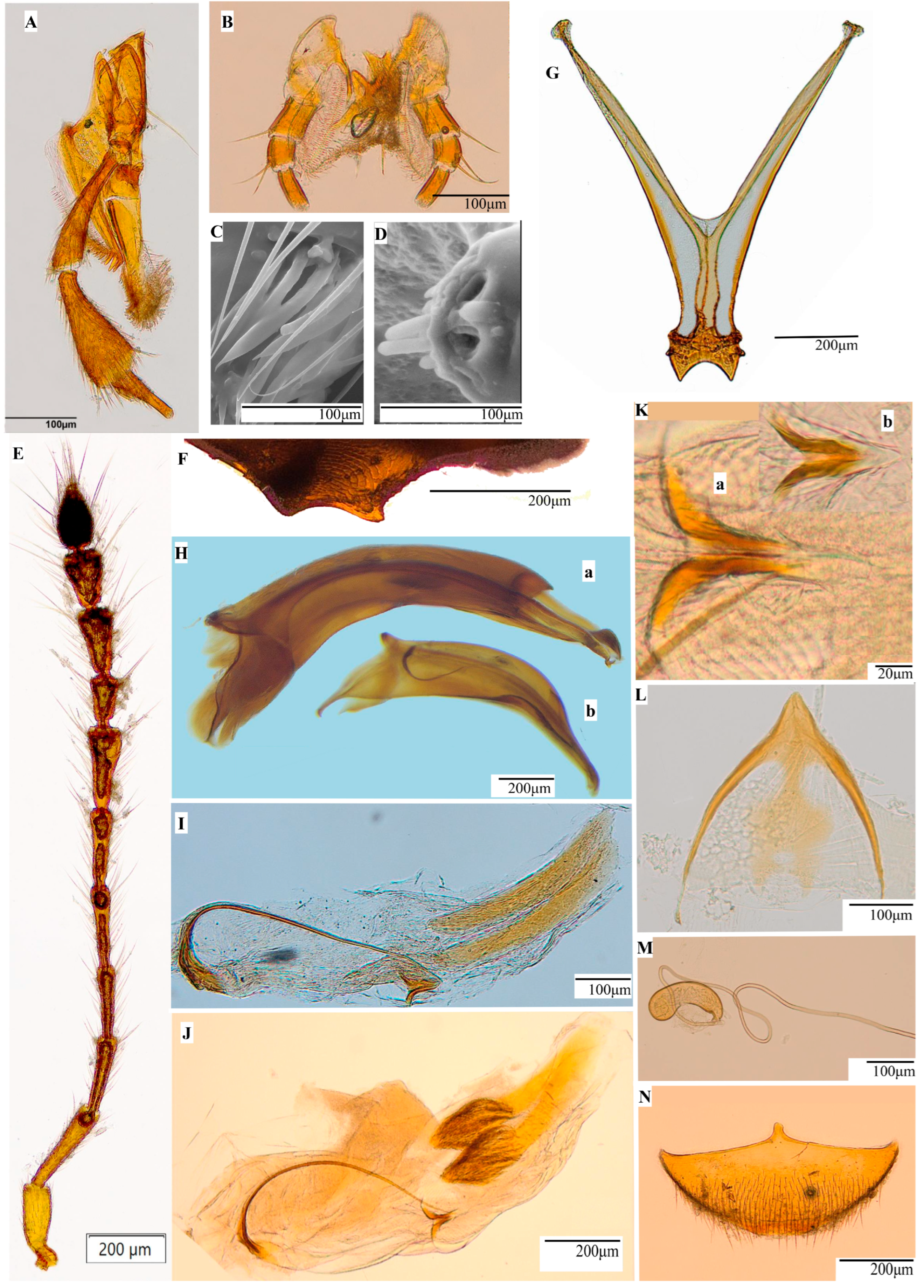 Insects 16 00806 g003