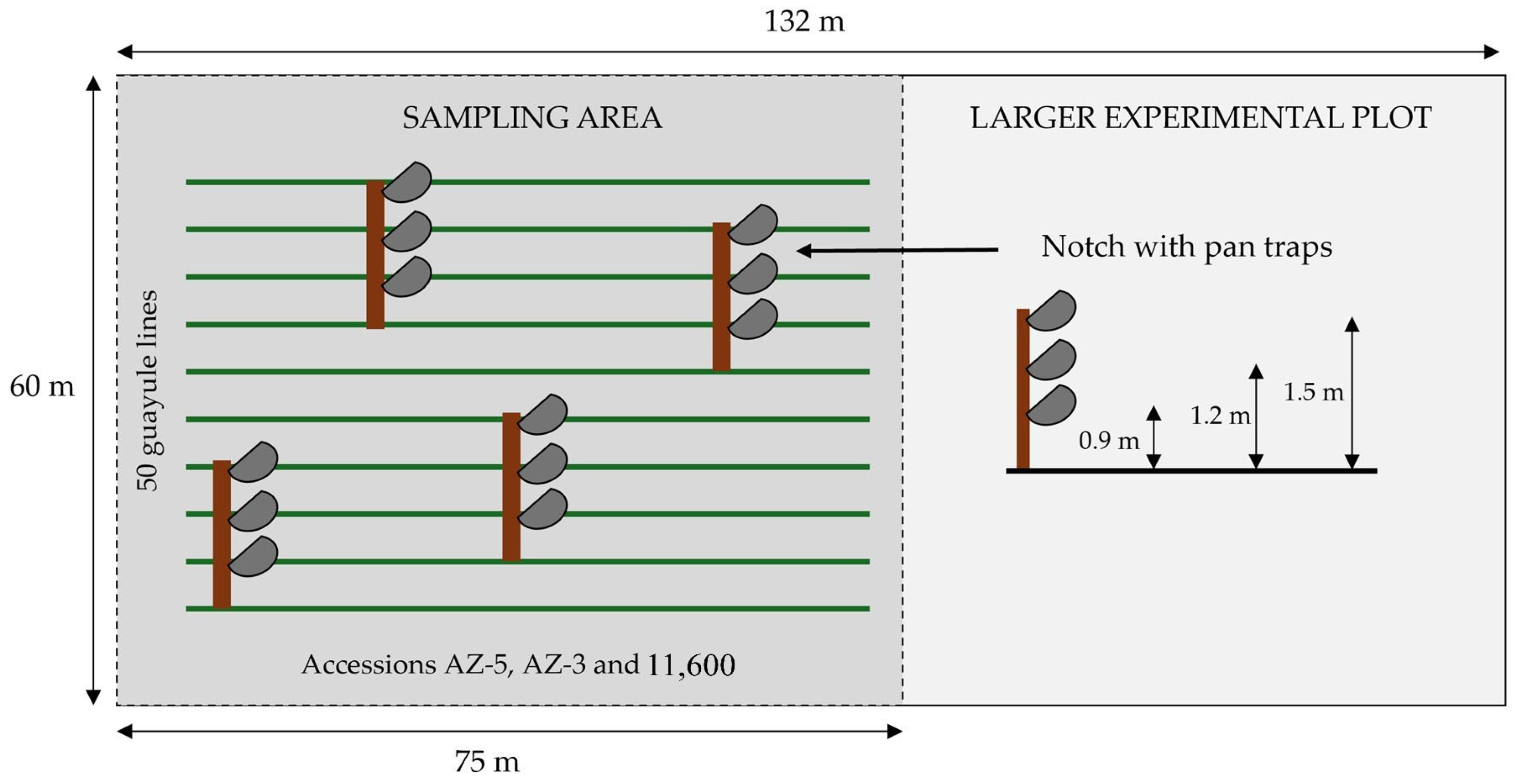 Insects 16 00808 g001