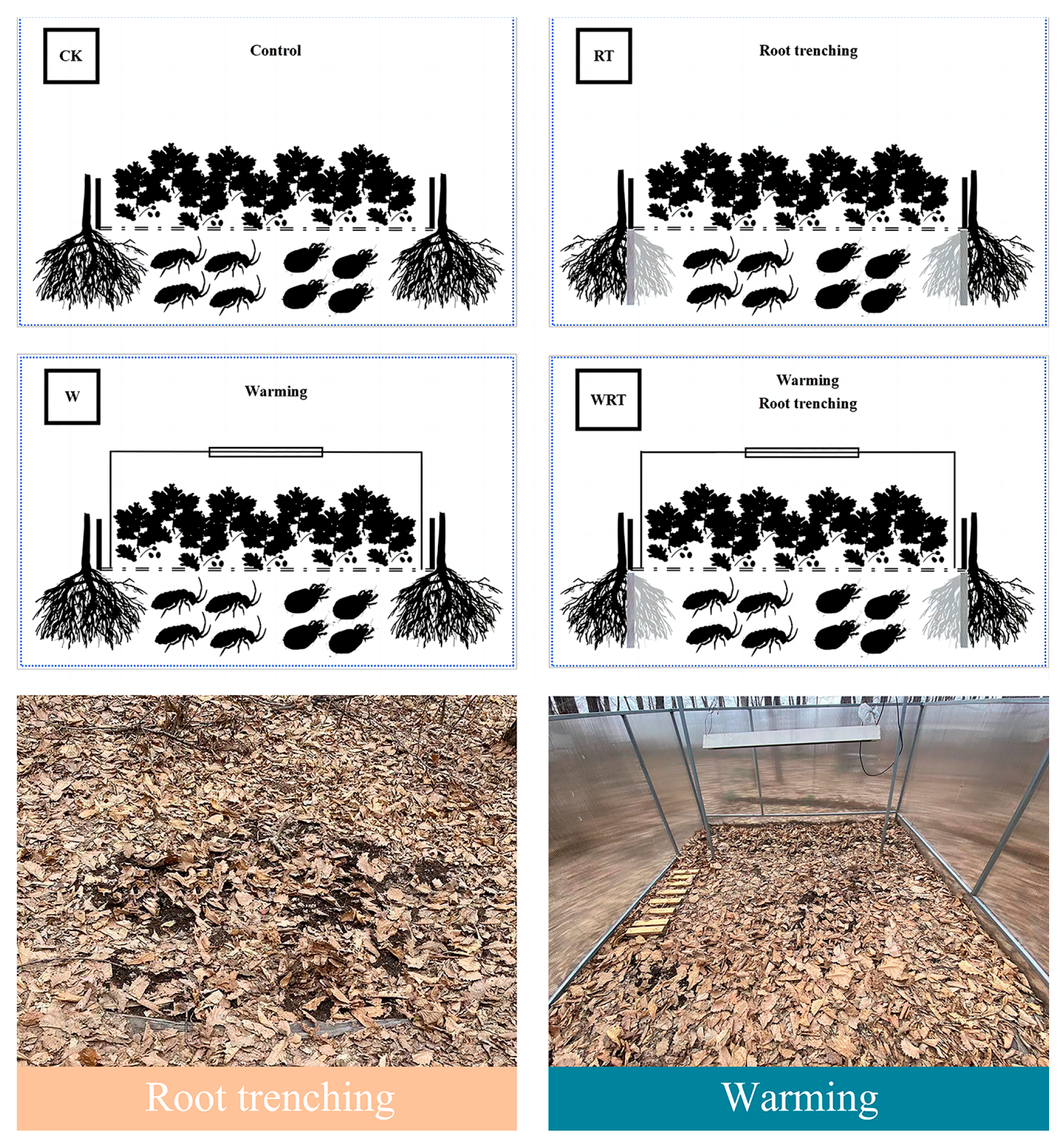 Insects 16 00809 g0a1 Insects 16 00809 g0a1