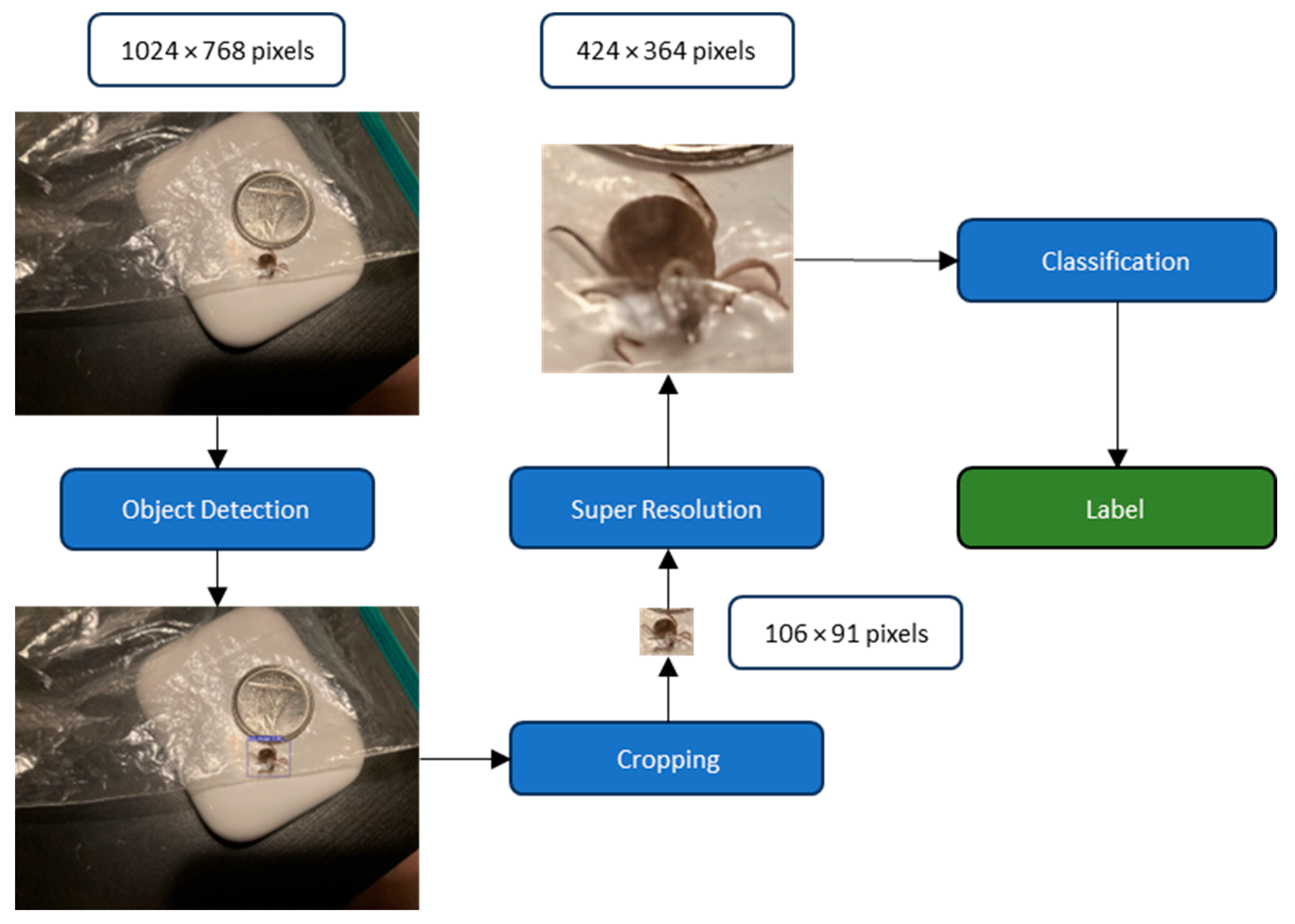 Insects 16 00813 g002