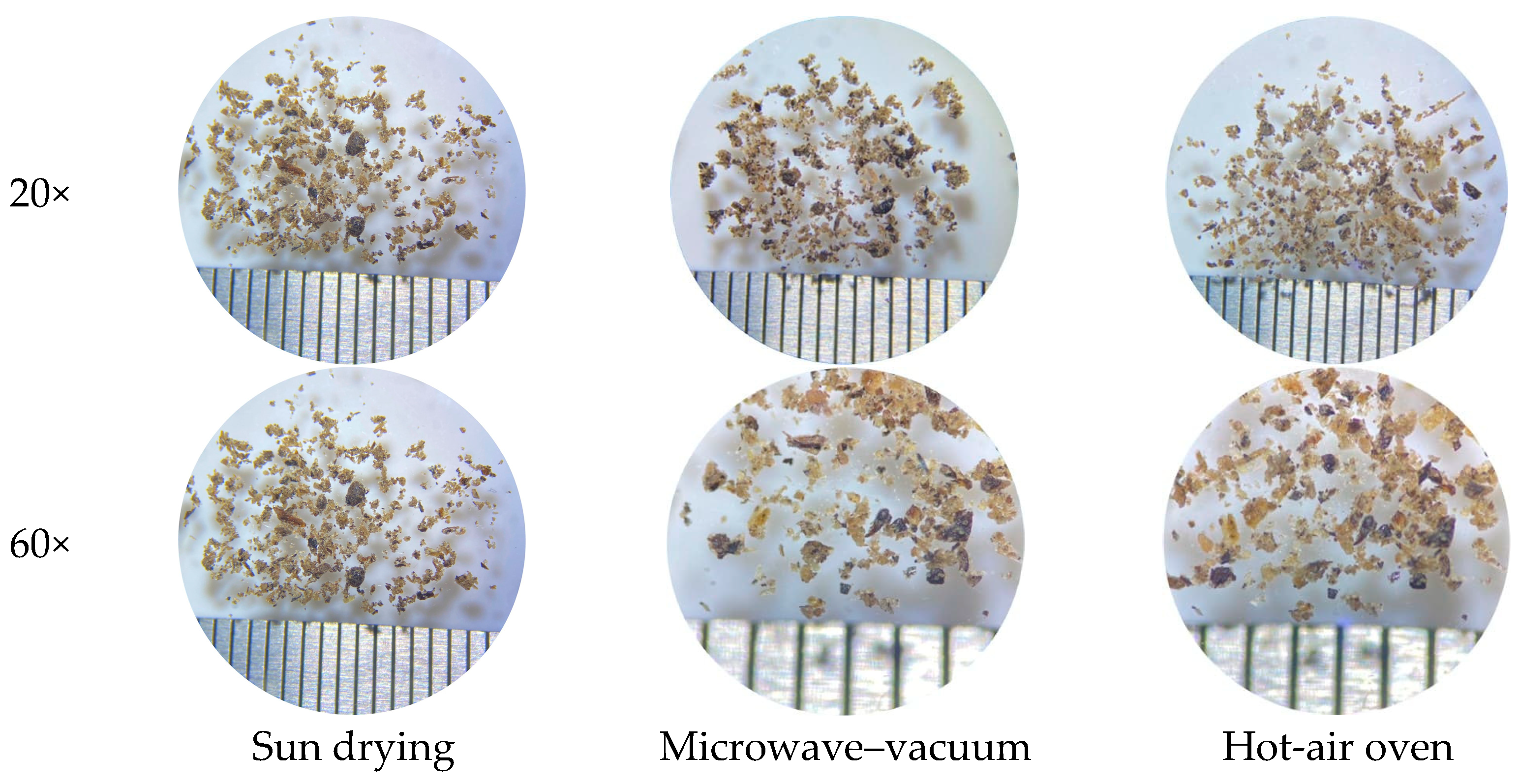 Insects 16 00814 g002 Insects 16 00814 g002