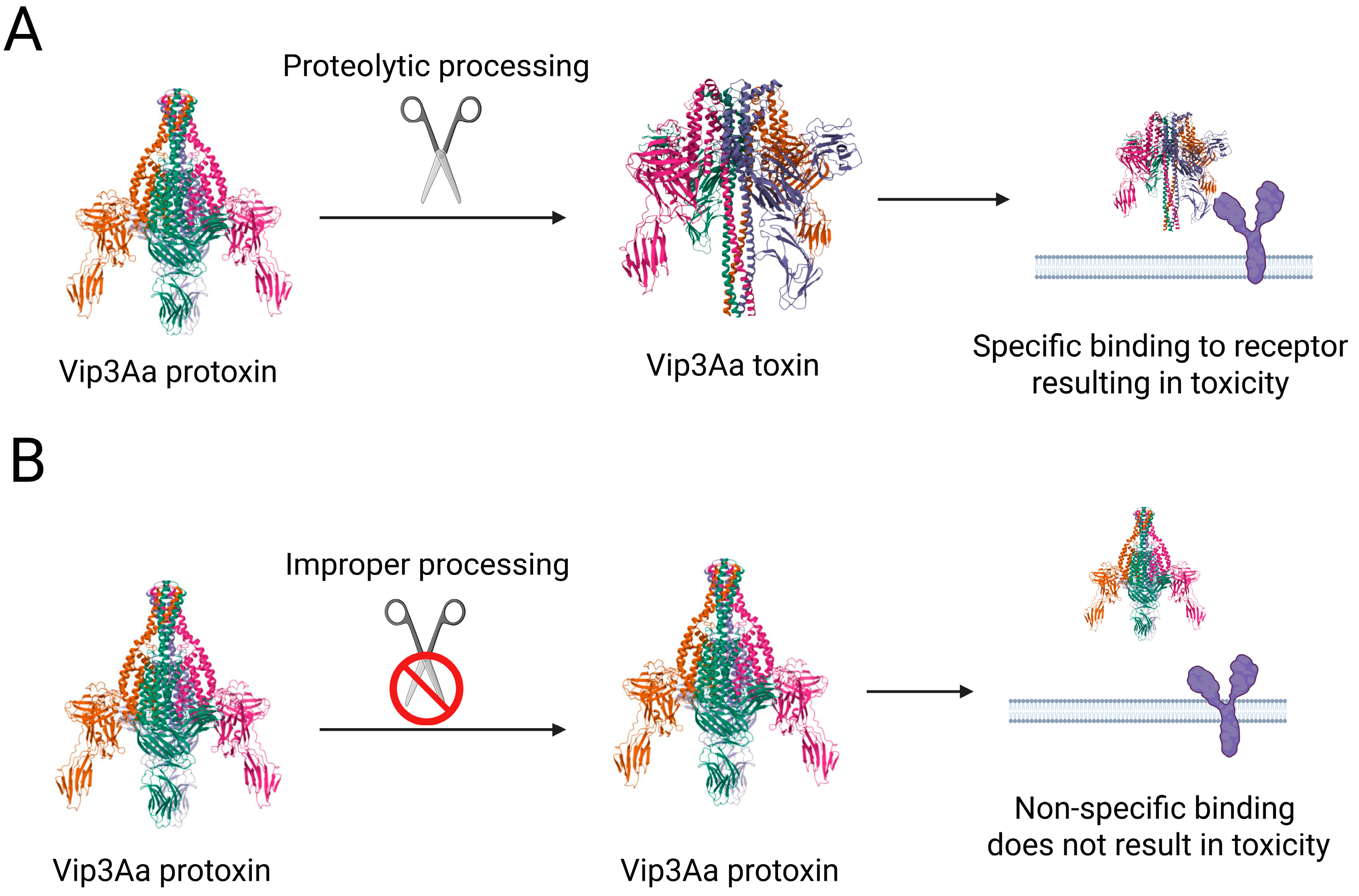 Insects 16 00820 g002 Insects 16 00820 g002