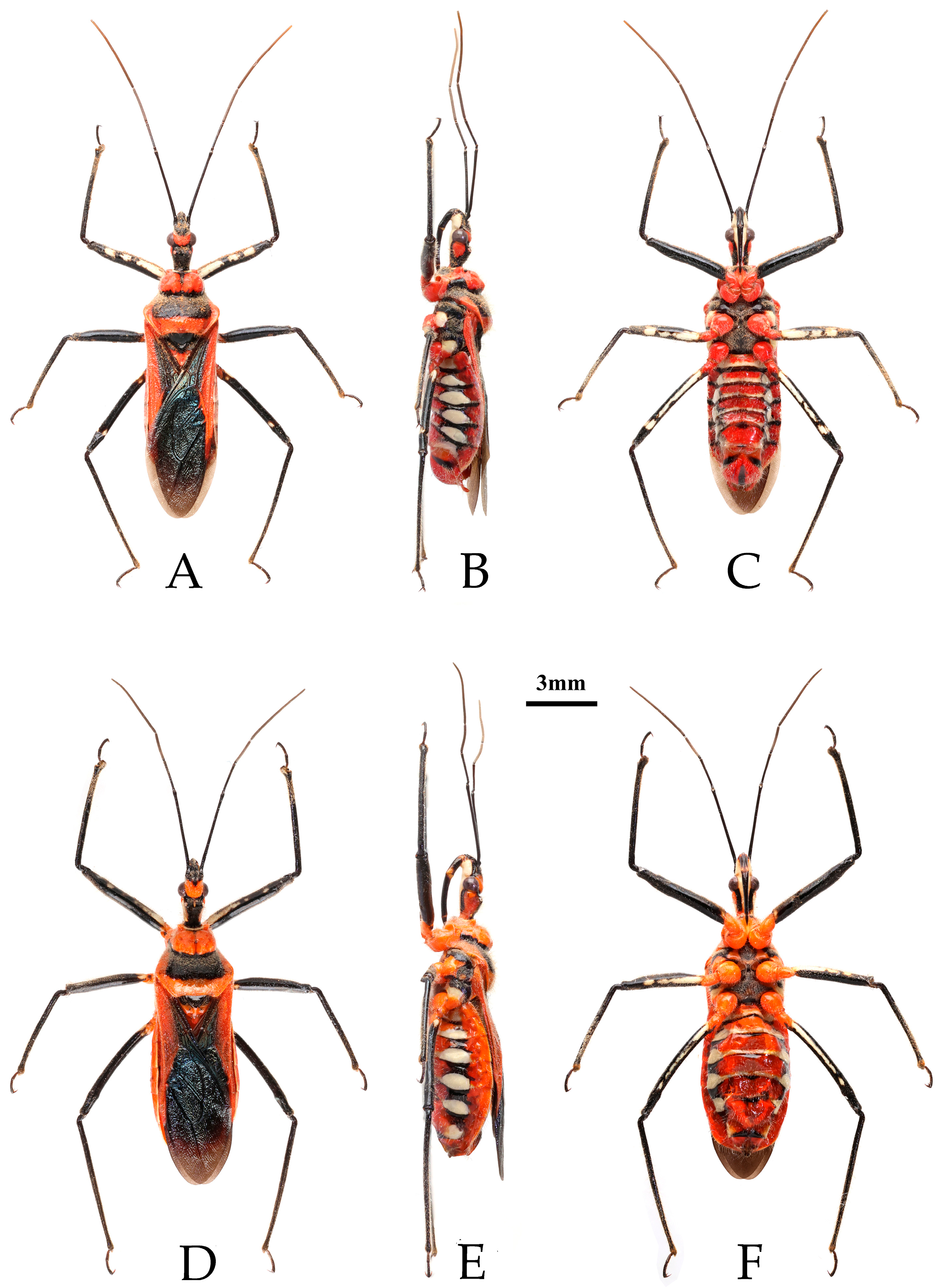 Insects 16 00823 g002